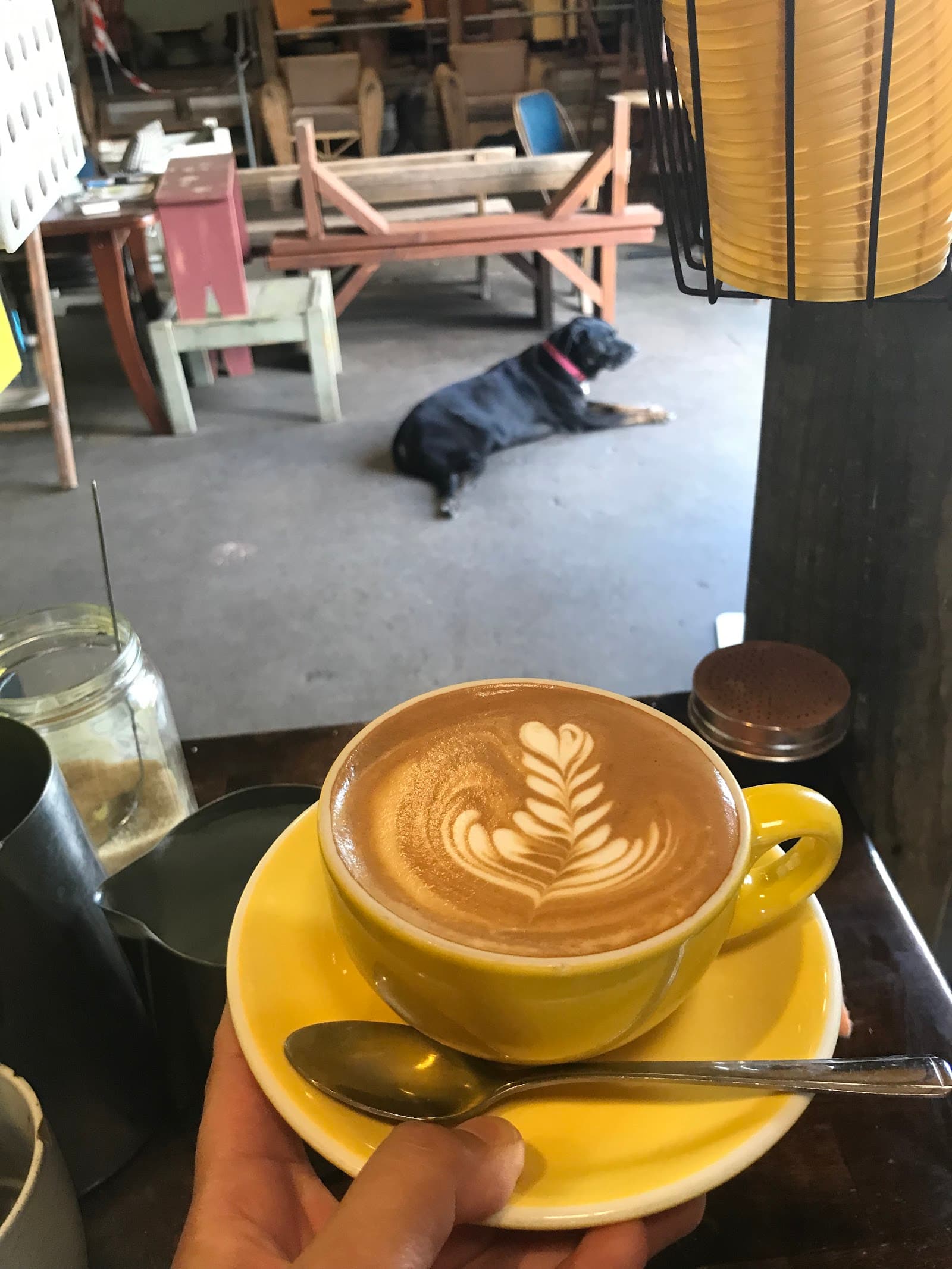 Cafe inu — The Junction, Newcastle