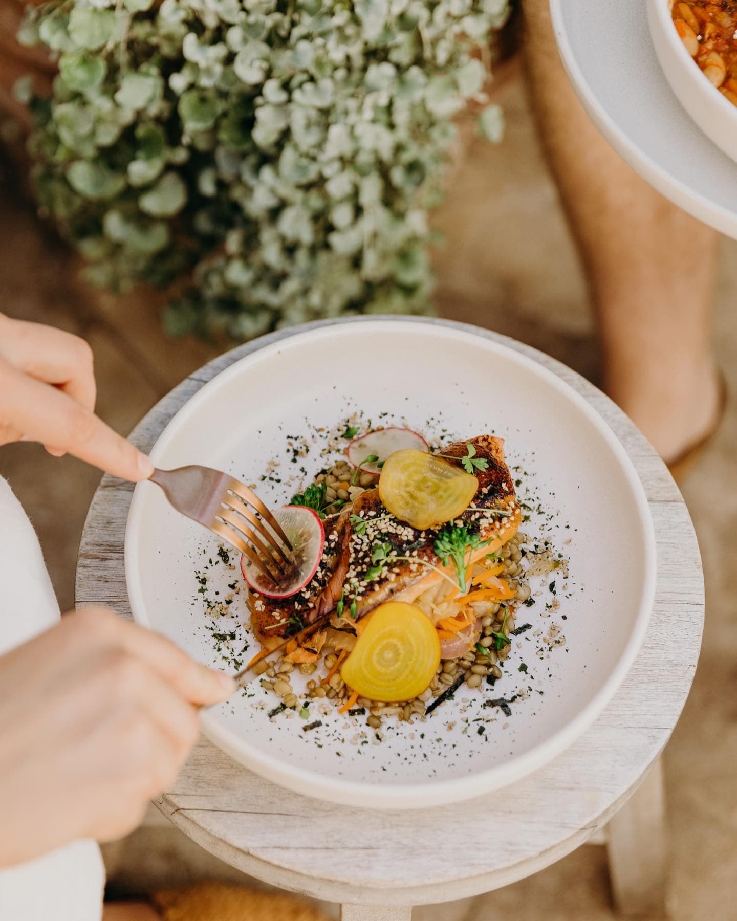 Convoy Commune — Merewether, Newcastle