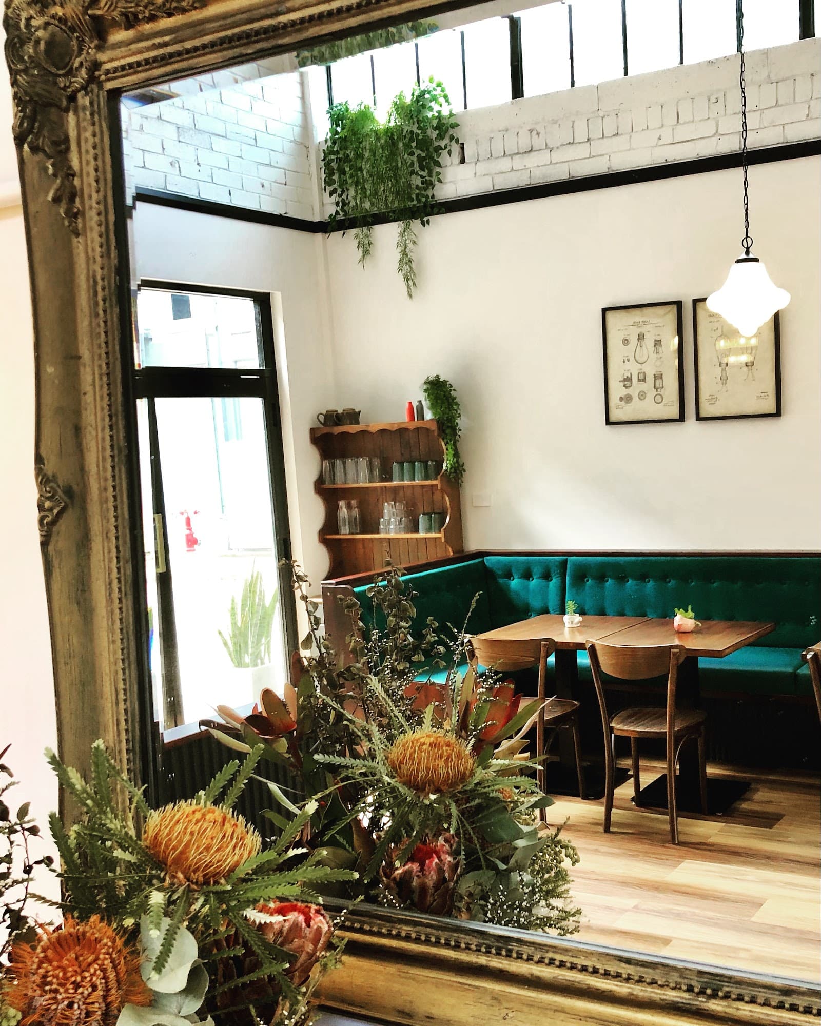 ELMAS ON CLYDE — Hamilton, Newcastle
