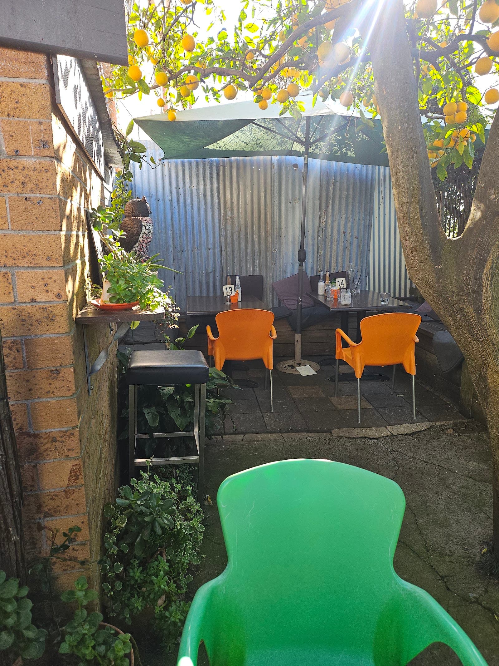 The OrangeTree - Licensed Cafe By The River — Maitland, Newcastle