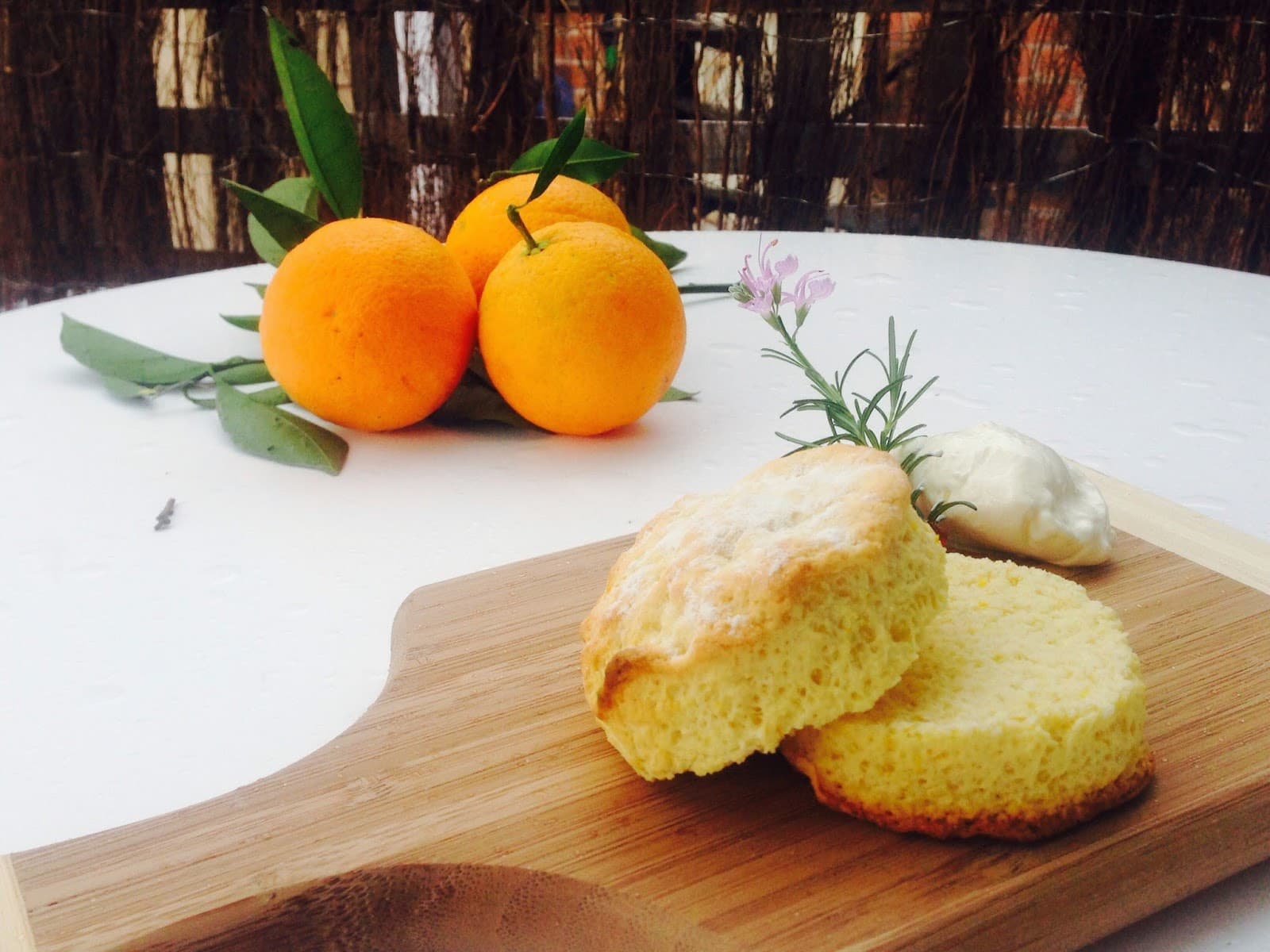 The OrangeTree - Licensed Cafe By The River — Maitland, Newcastle