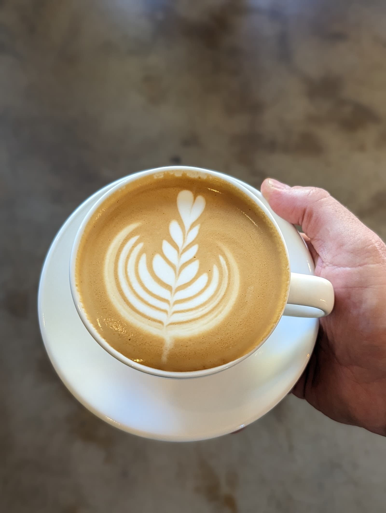 Black Label Espresso — Maitland, Newcastle