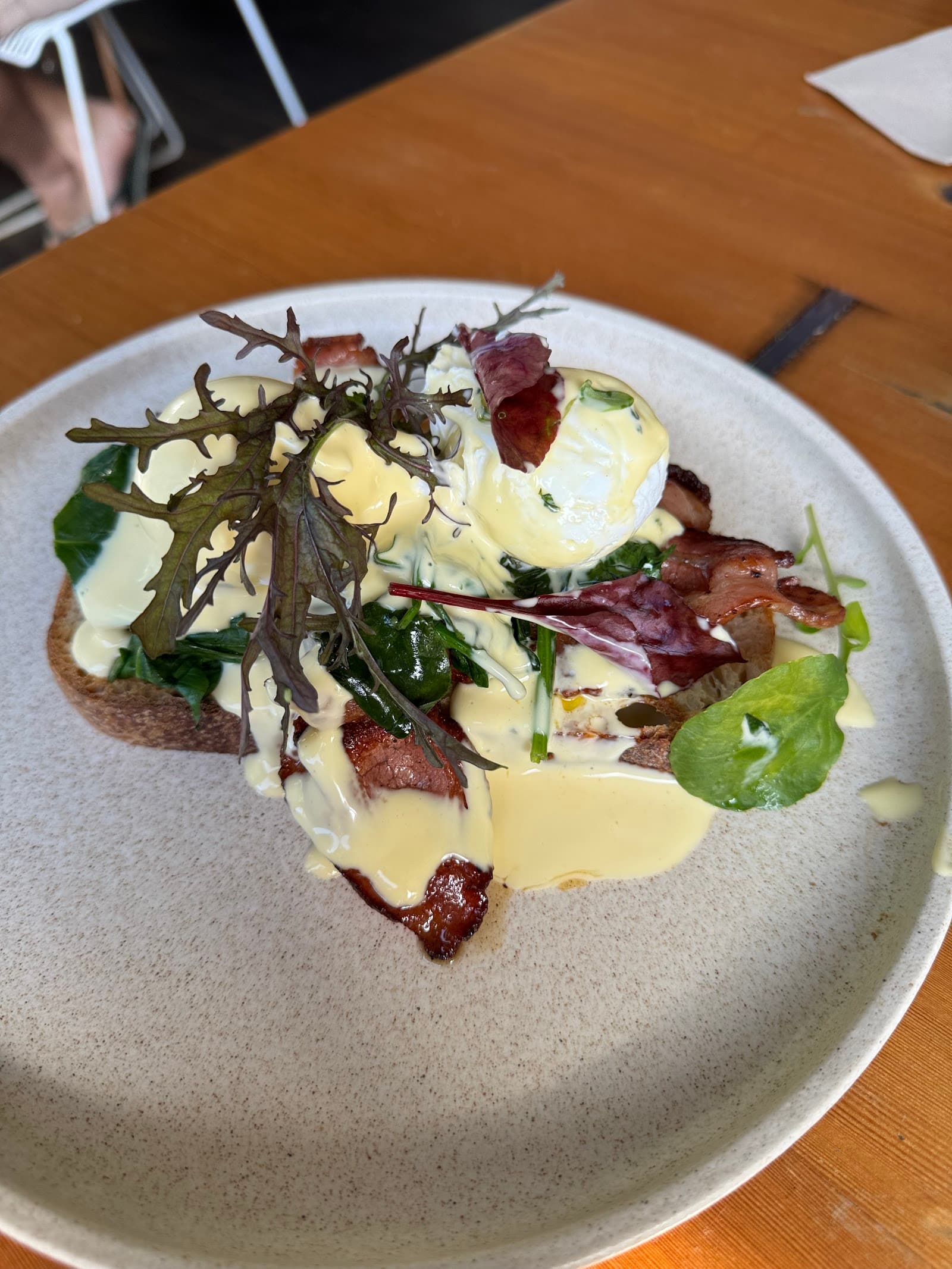 The Little Nel — Nelson Bay, Newcastle