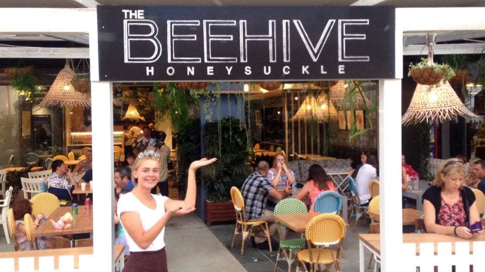 The Beehive Honeysuckle — Honeysuckle, Newcastle