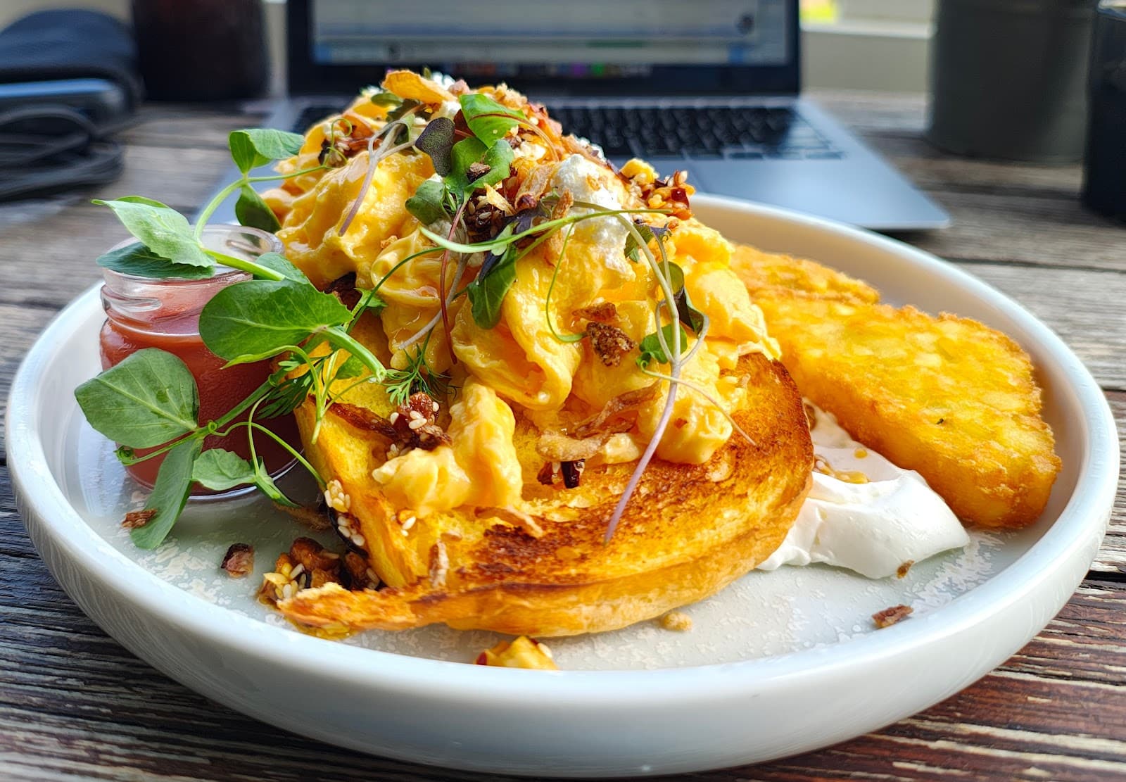 The Beehive Honeysuckle — Newcastle