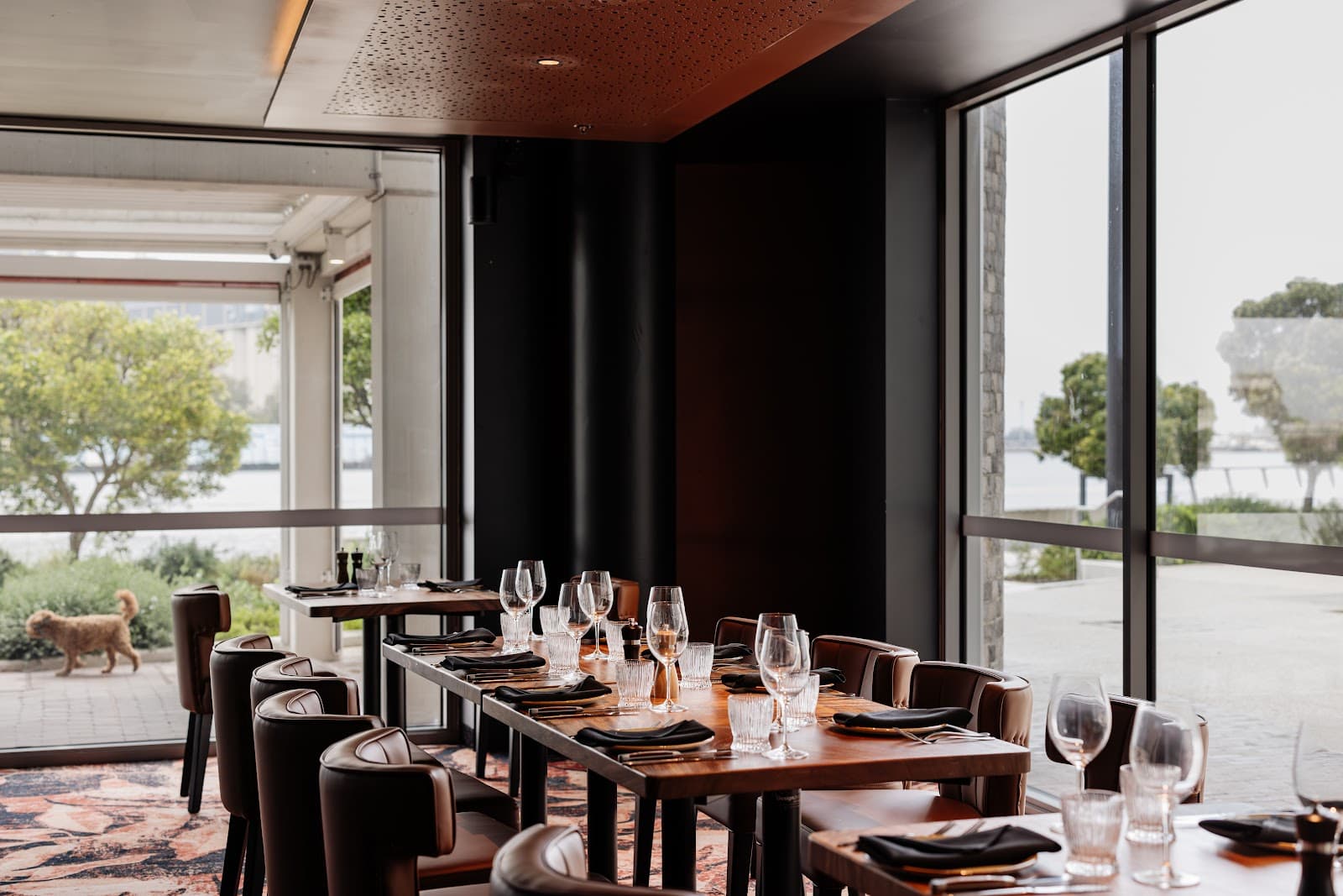 7 Cutz Steakhouse Newcastle — Honeysuckle, Newcastle