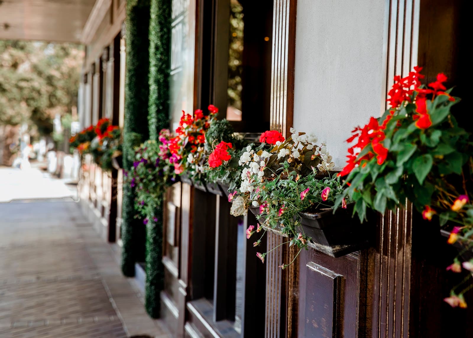 Northern Star Hotel — Maitland, Newcastle
