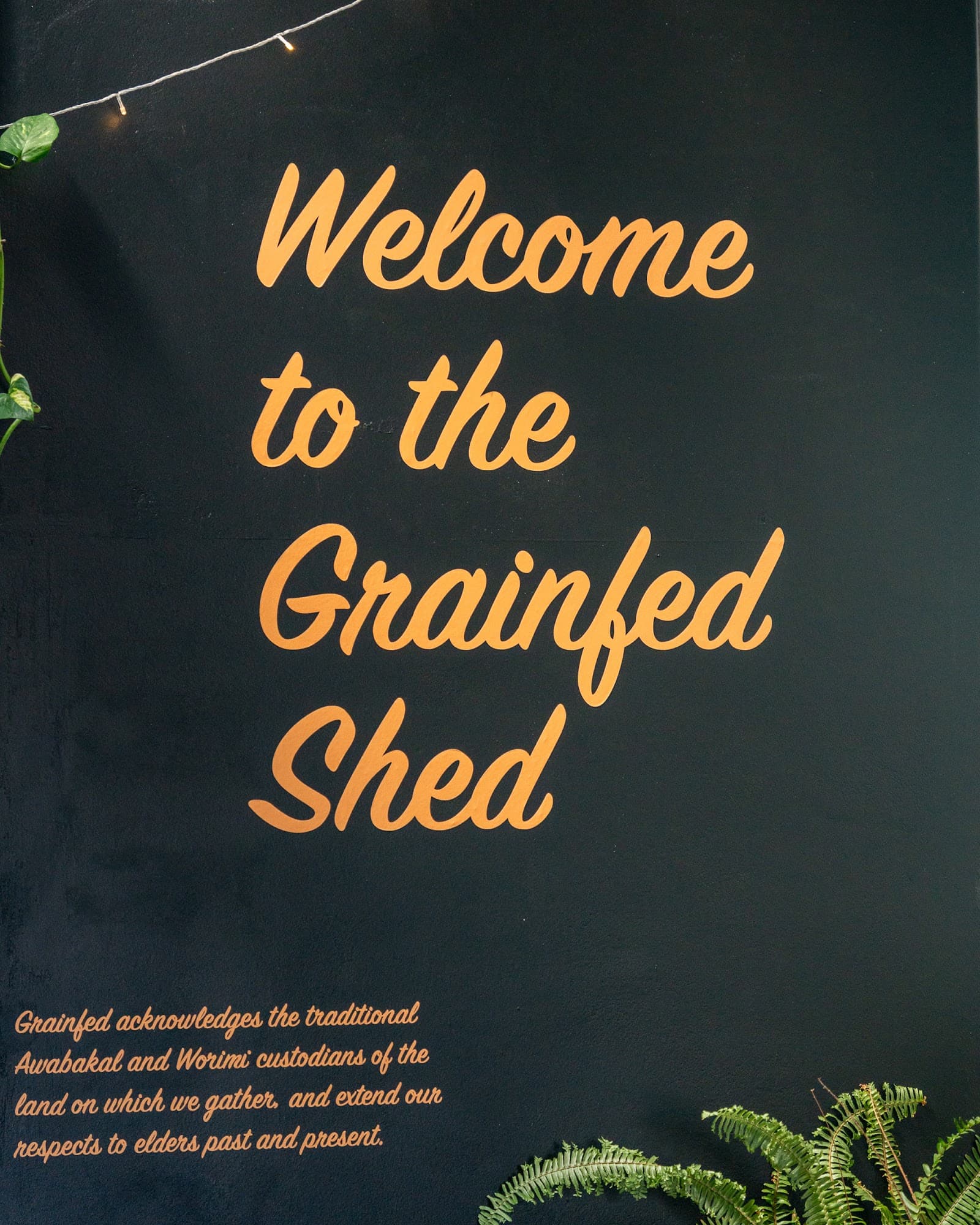Grainfed Brewing Company — Honeysuckle, Newcastle