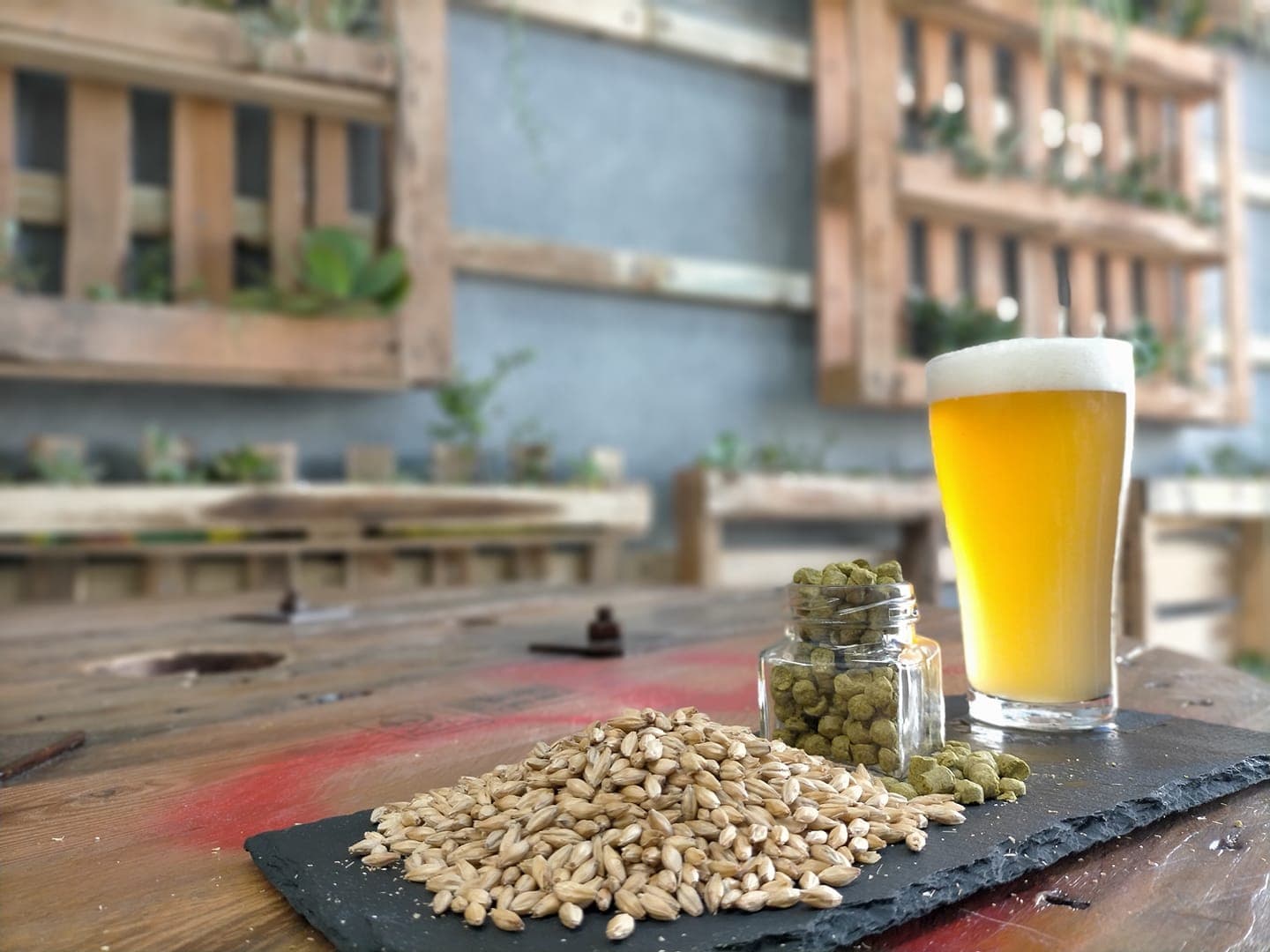 Bread and Brewery — Stockton, Newcastle