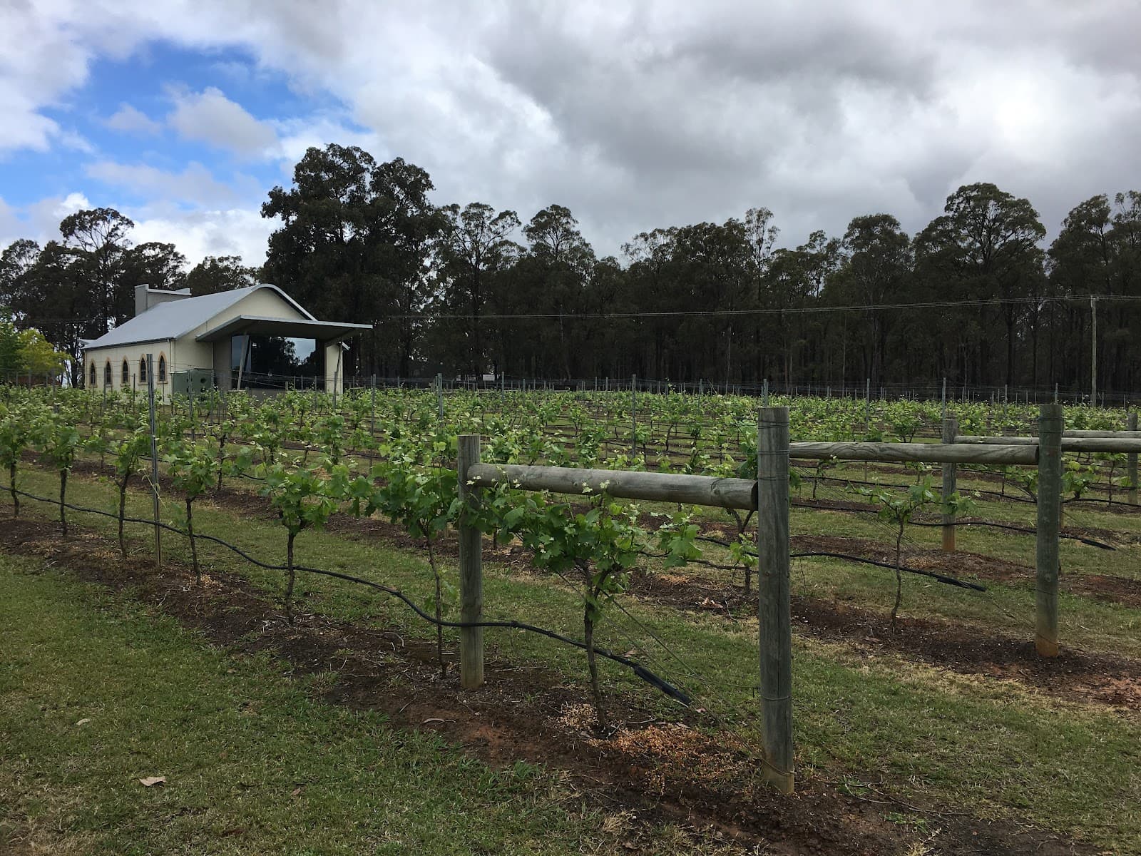 IronBark Hill Brewing Co — Nelson Bay, Newcastle