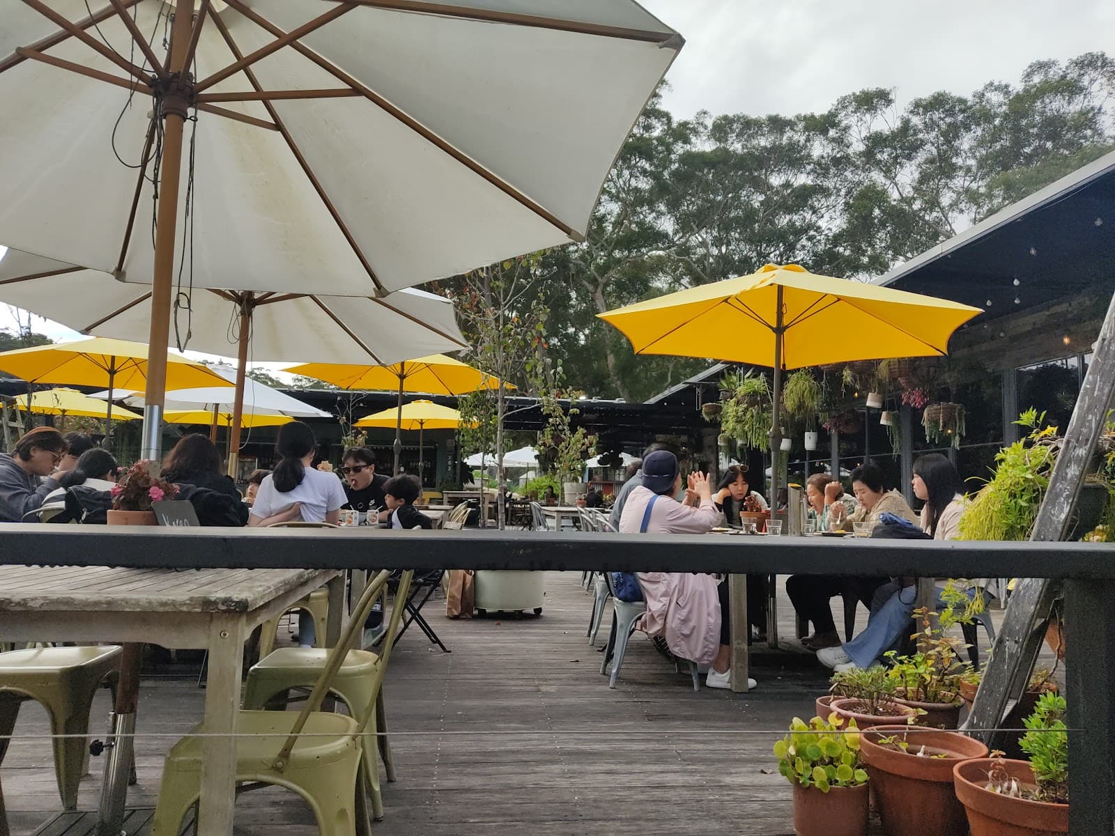 Restaurant William — Nelson Bay, Newcastle