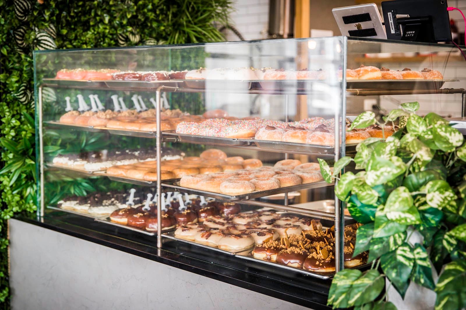 DoughHeads — Honeysuckle, Newcastle