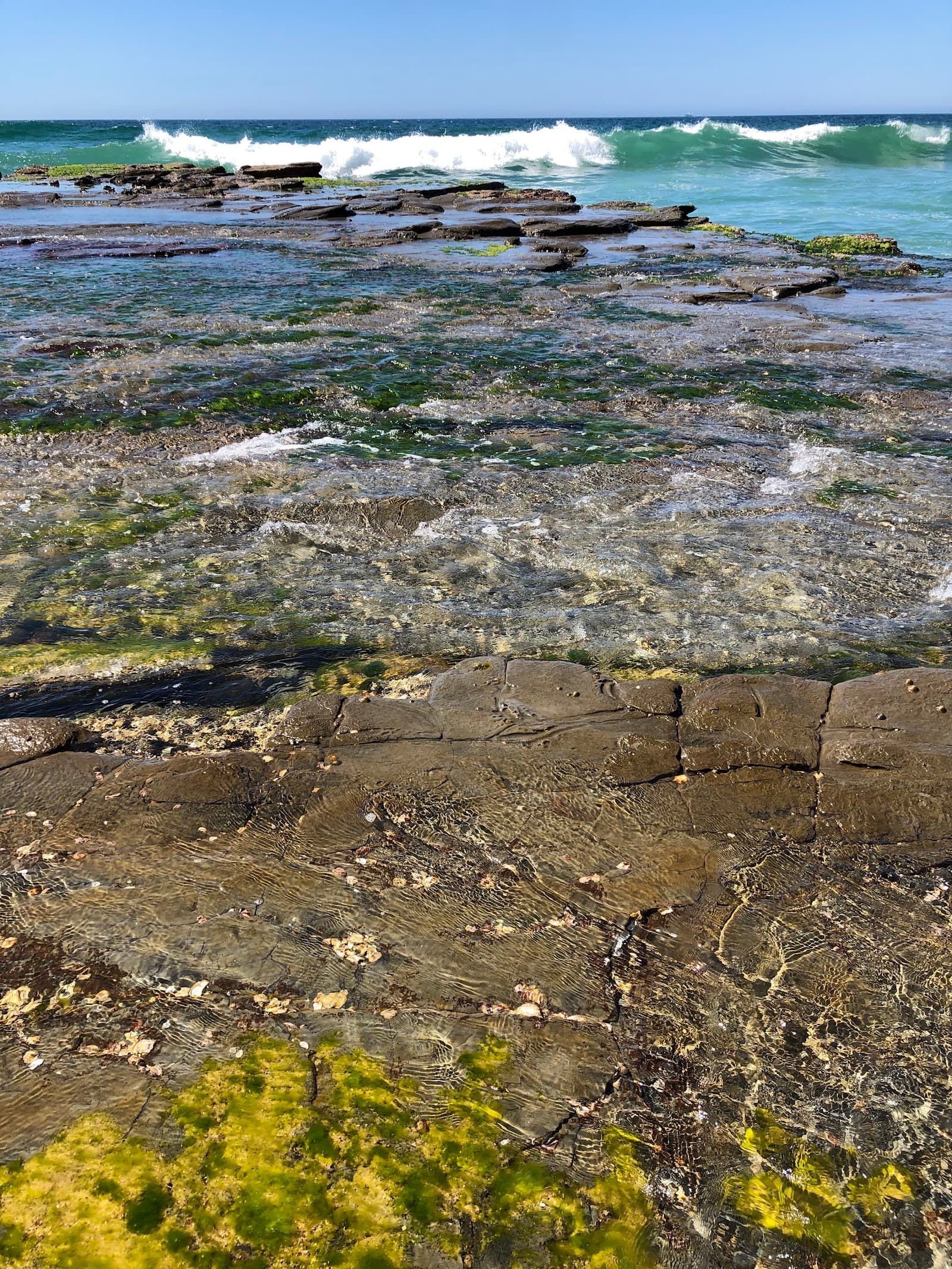 North Gilmore Cove — Bar Beach, Newcastle