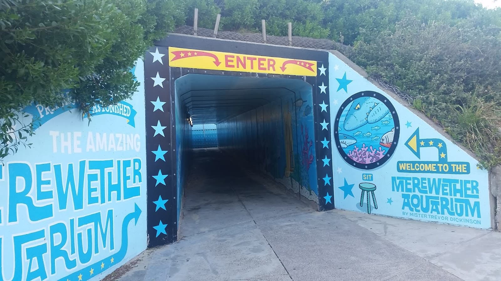 Merewether Aquarium — Merewether, Newcastle