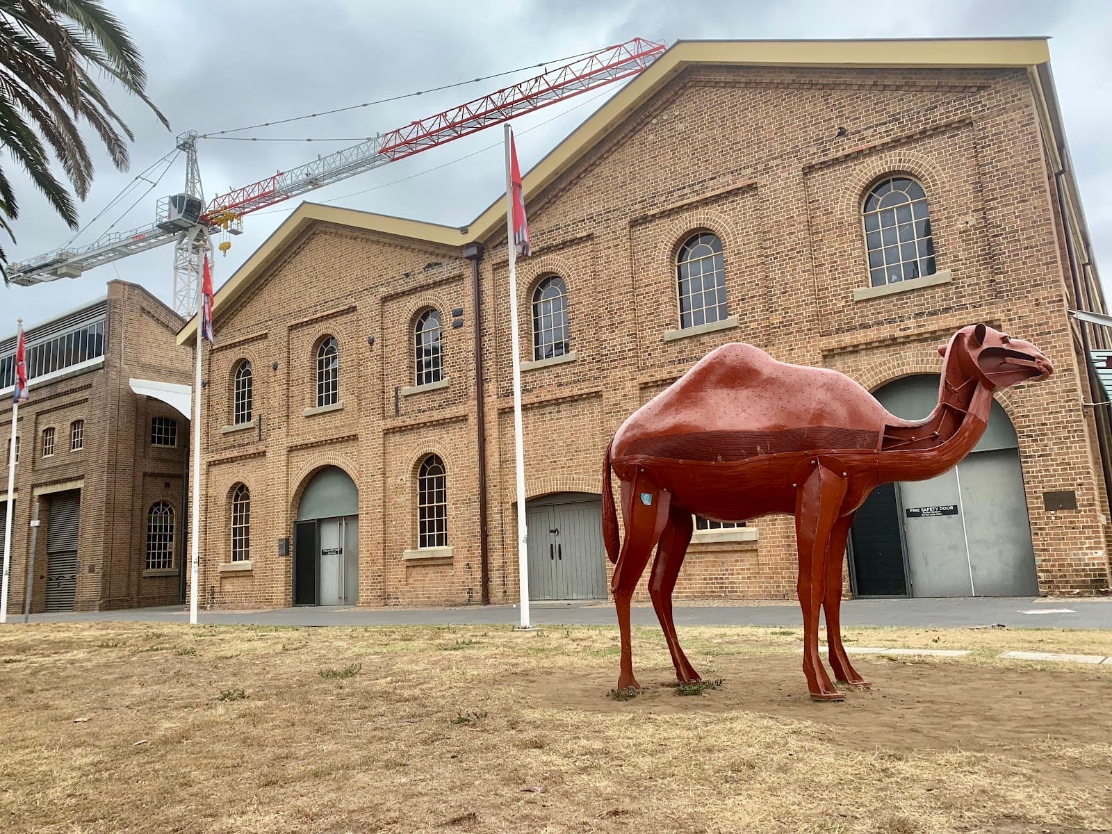 The Camel — Honeysuckle, Newcastle