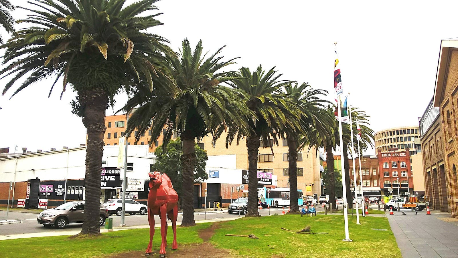 The Camel — Newcastle