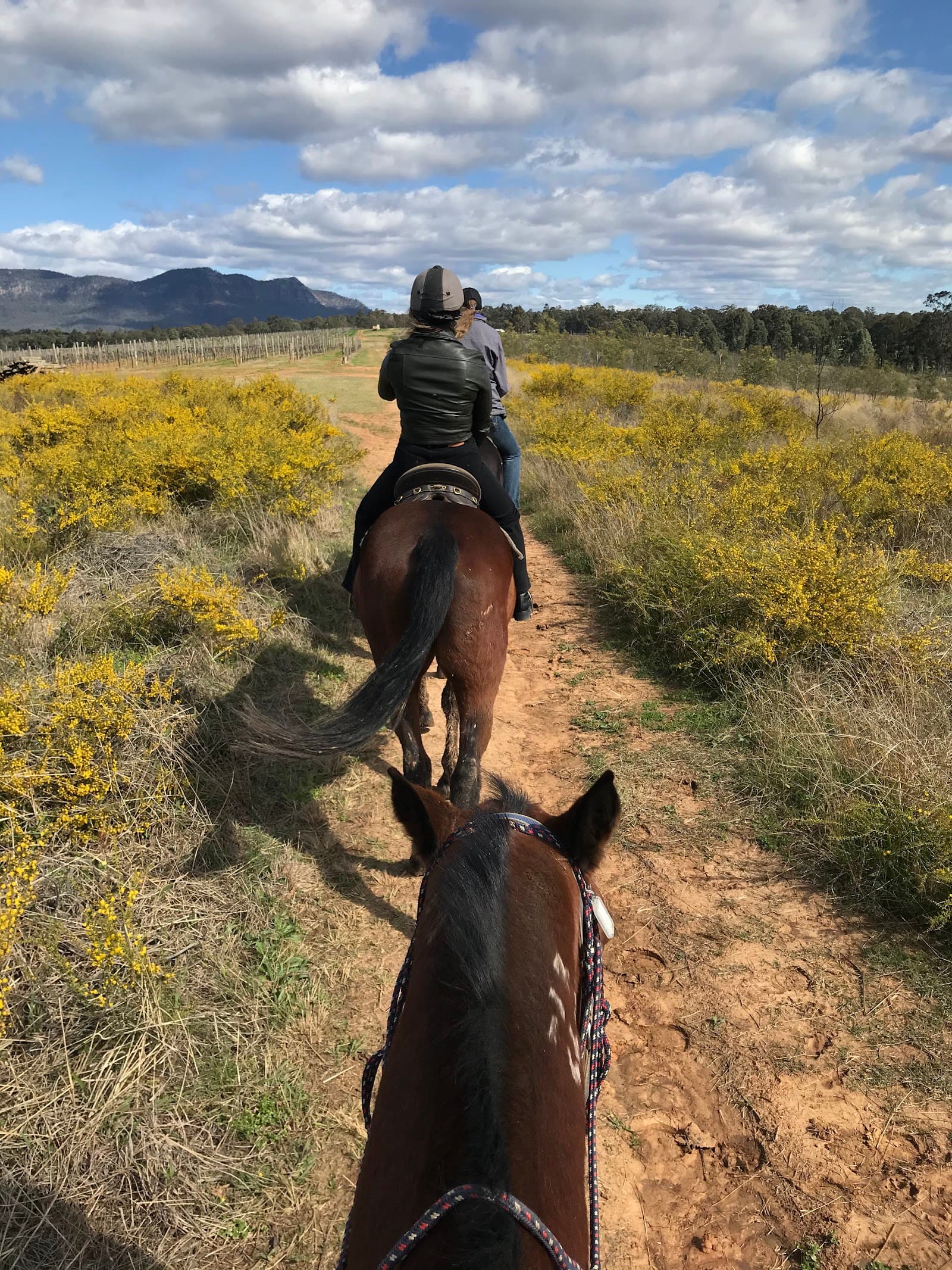 Hunter Farm & Adventure Centre - Pokolbin — Pokolbin, Newcastle