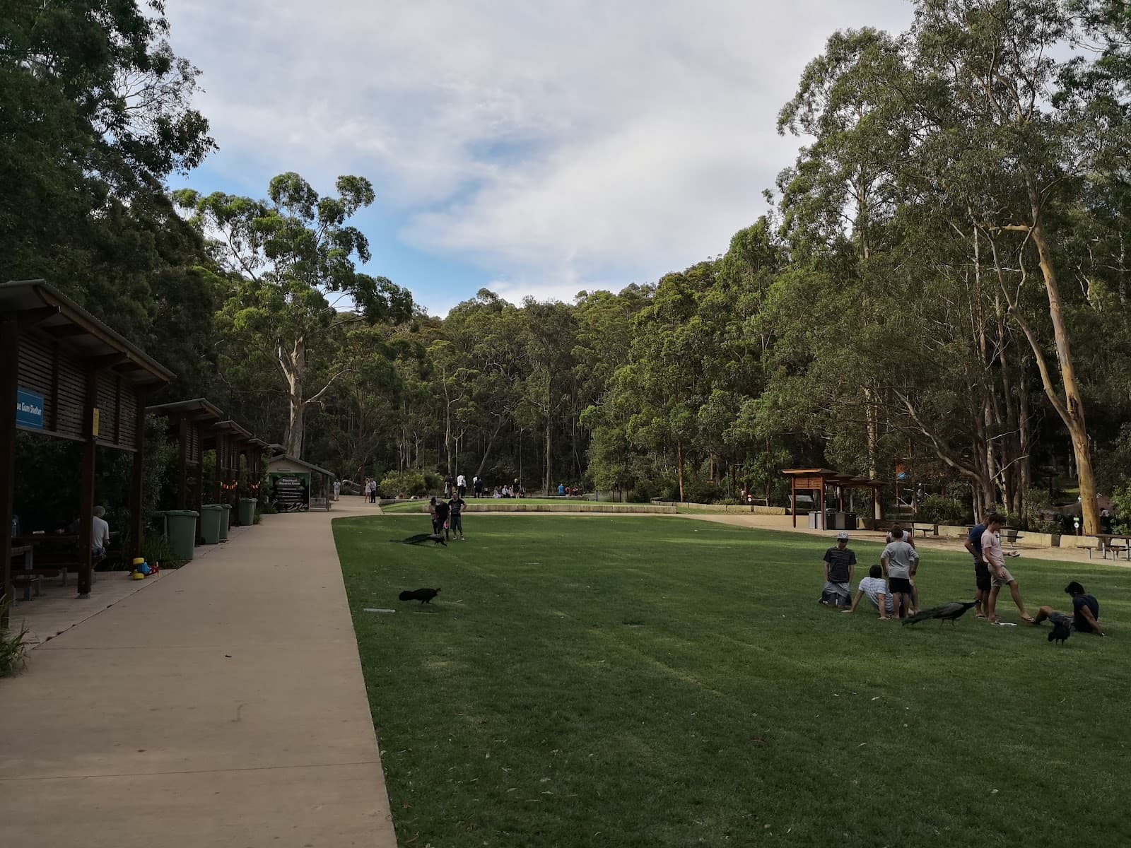 Blackbutt Nature Reserve — The Junction, Newcastle