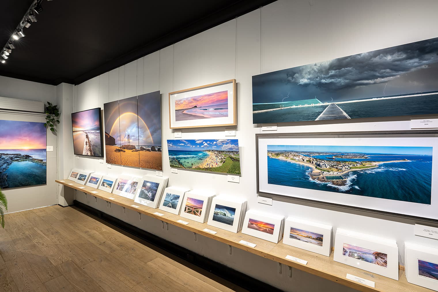 Shannon Hartigan Images — Honeysuckle, Newcastle