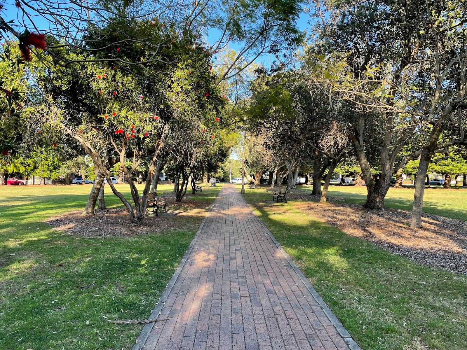 Centennial Park — Cooks Hill, Newcastle