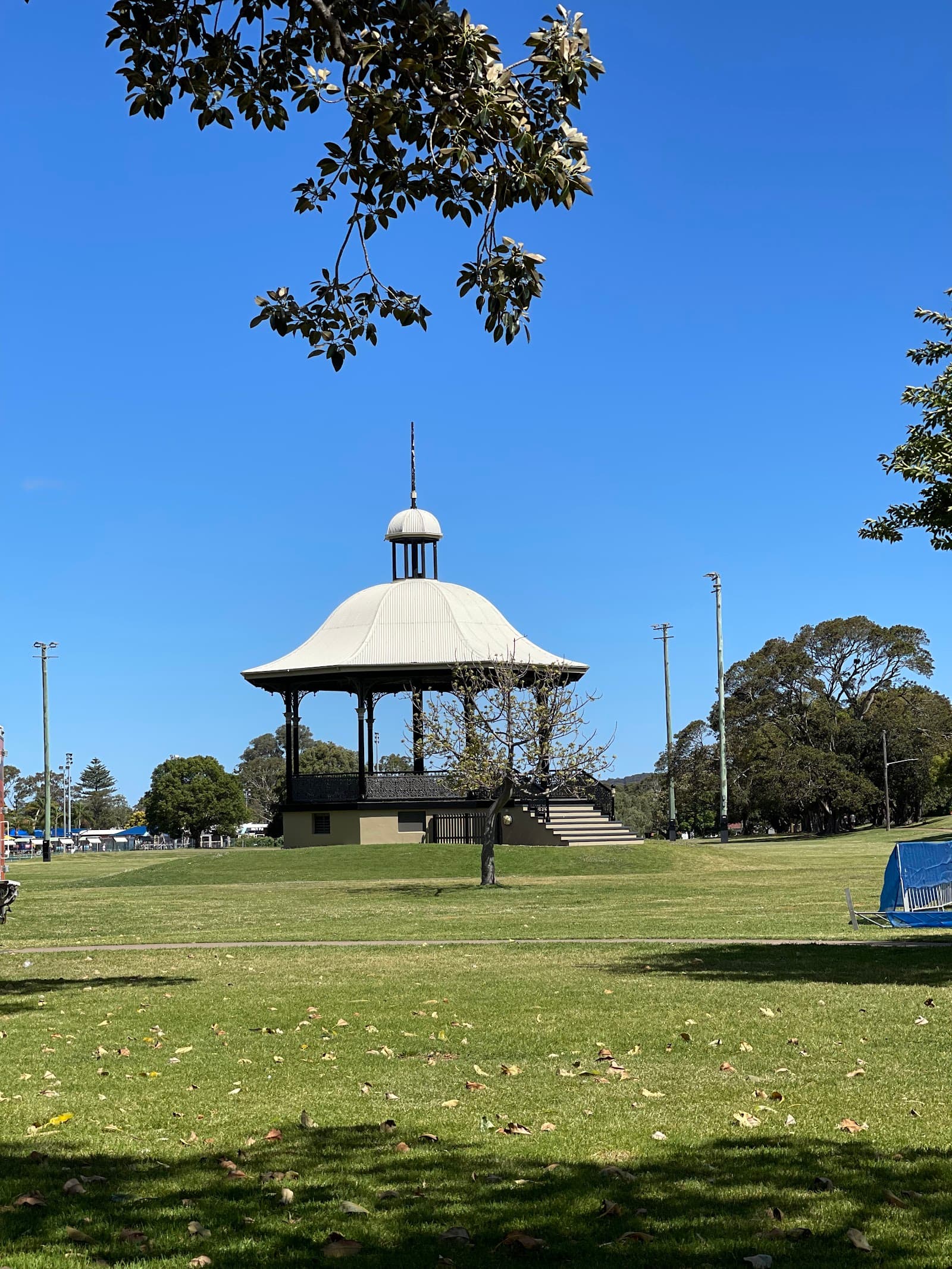Lambton Park — Hamilton, Newcastle