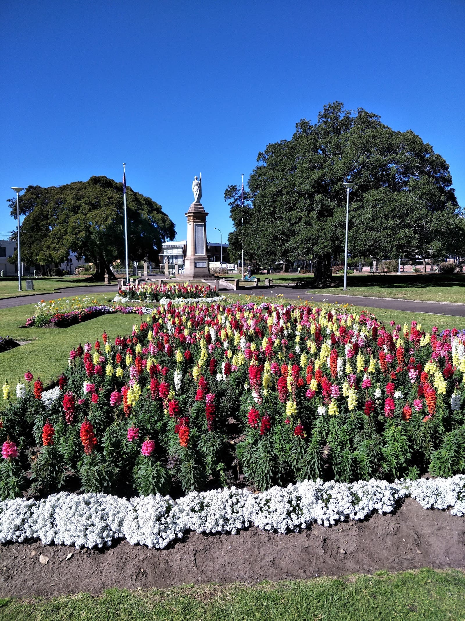 Gregson Park — Hamilton, Newcastle