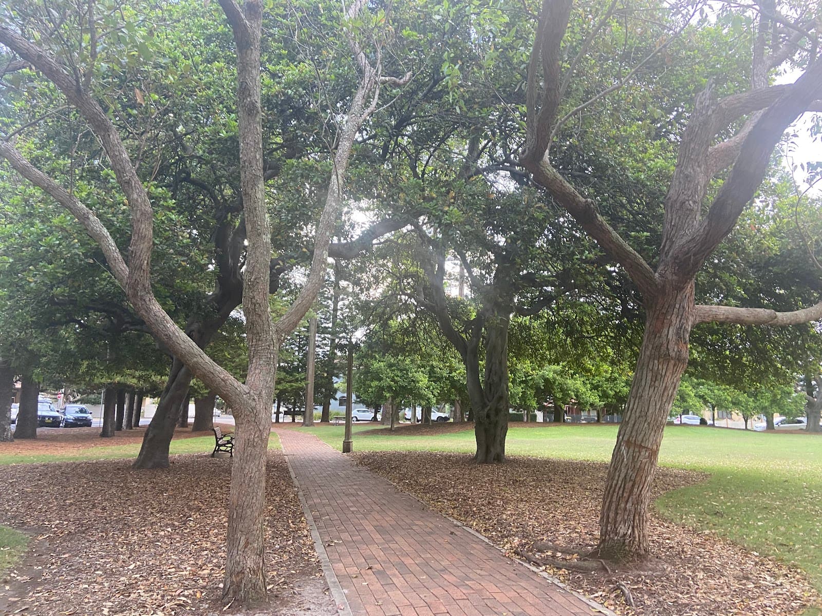 Centennial Park Playground — Honeysuckle, Newcastle