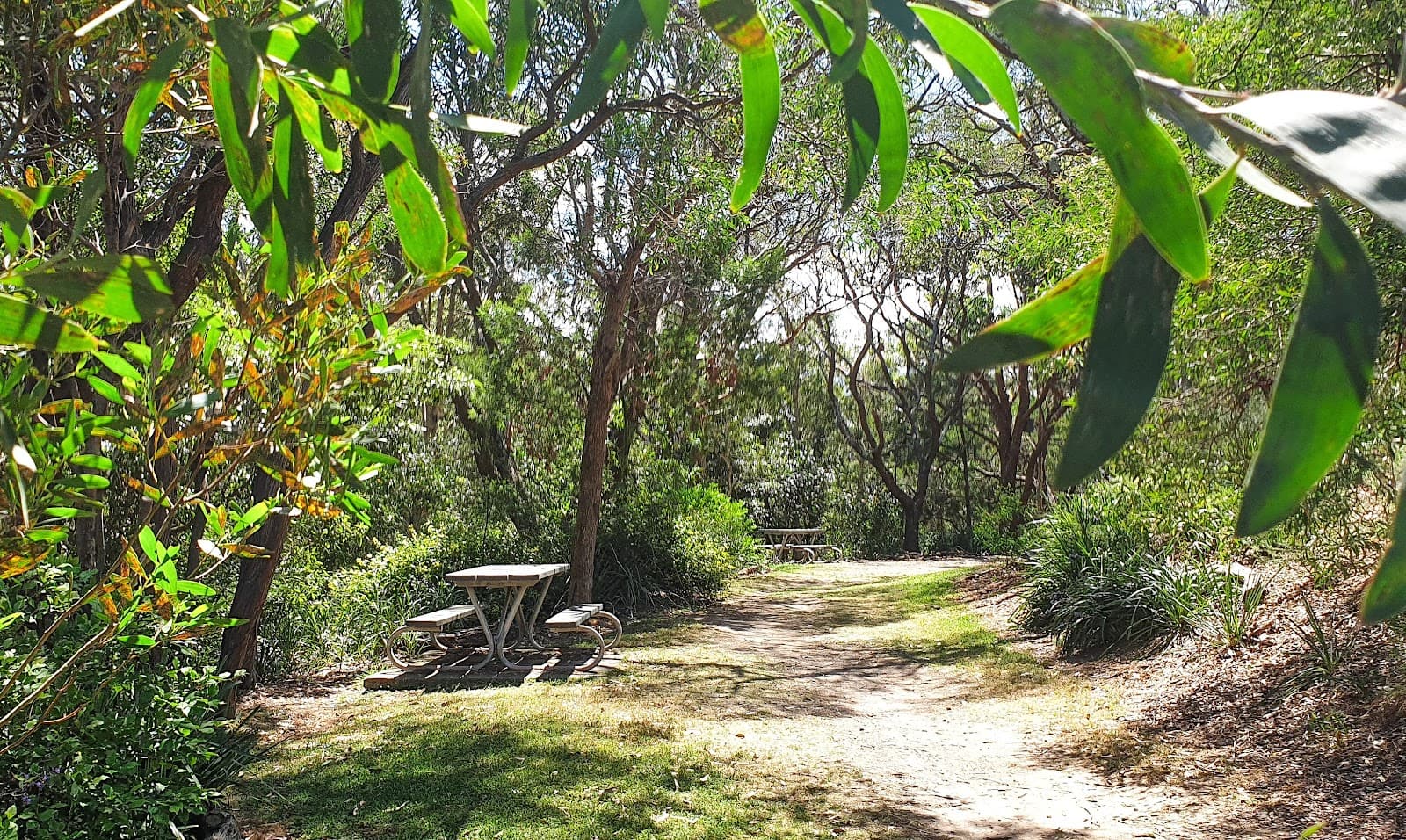 Arcadia Park — Honeysuckle, Newcastle