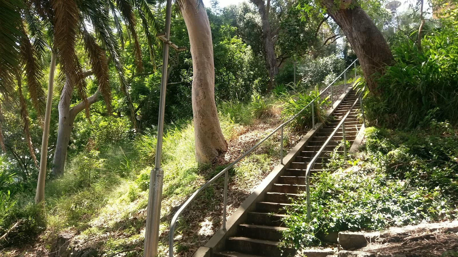 Church Walk Park — Newcastle