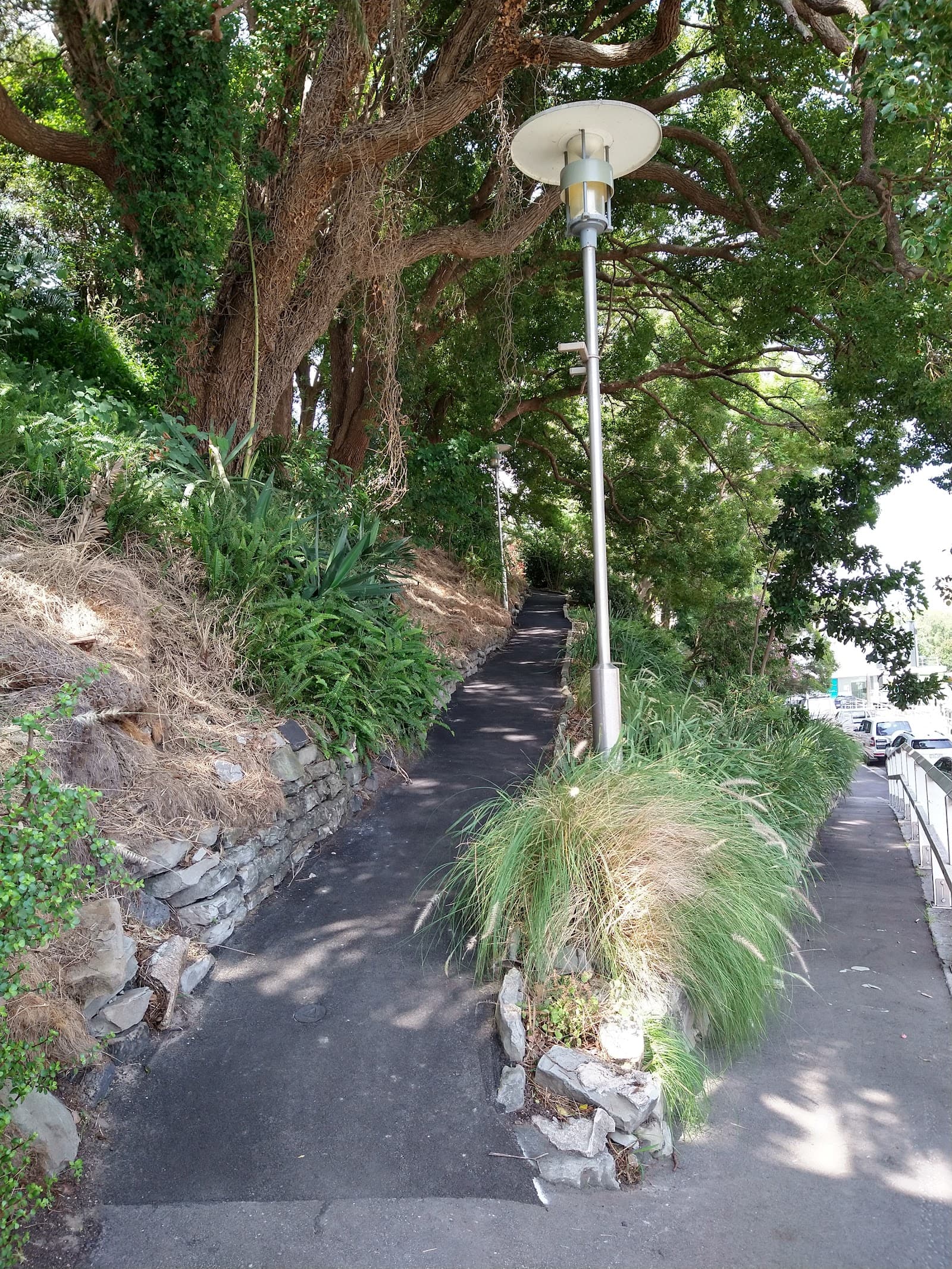 Church Walk Park — Newcastle