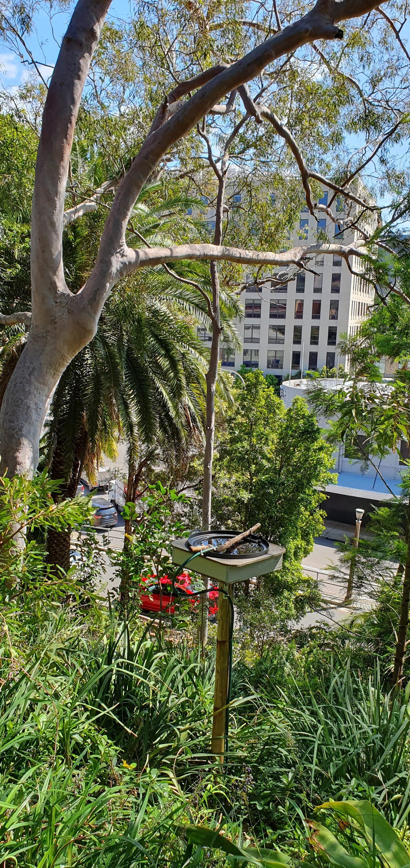Church Walk Park — Newcastle