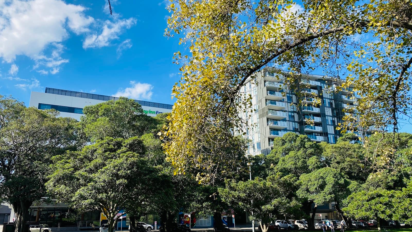 Birdwood Park — Newcastle West, Newcastle