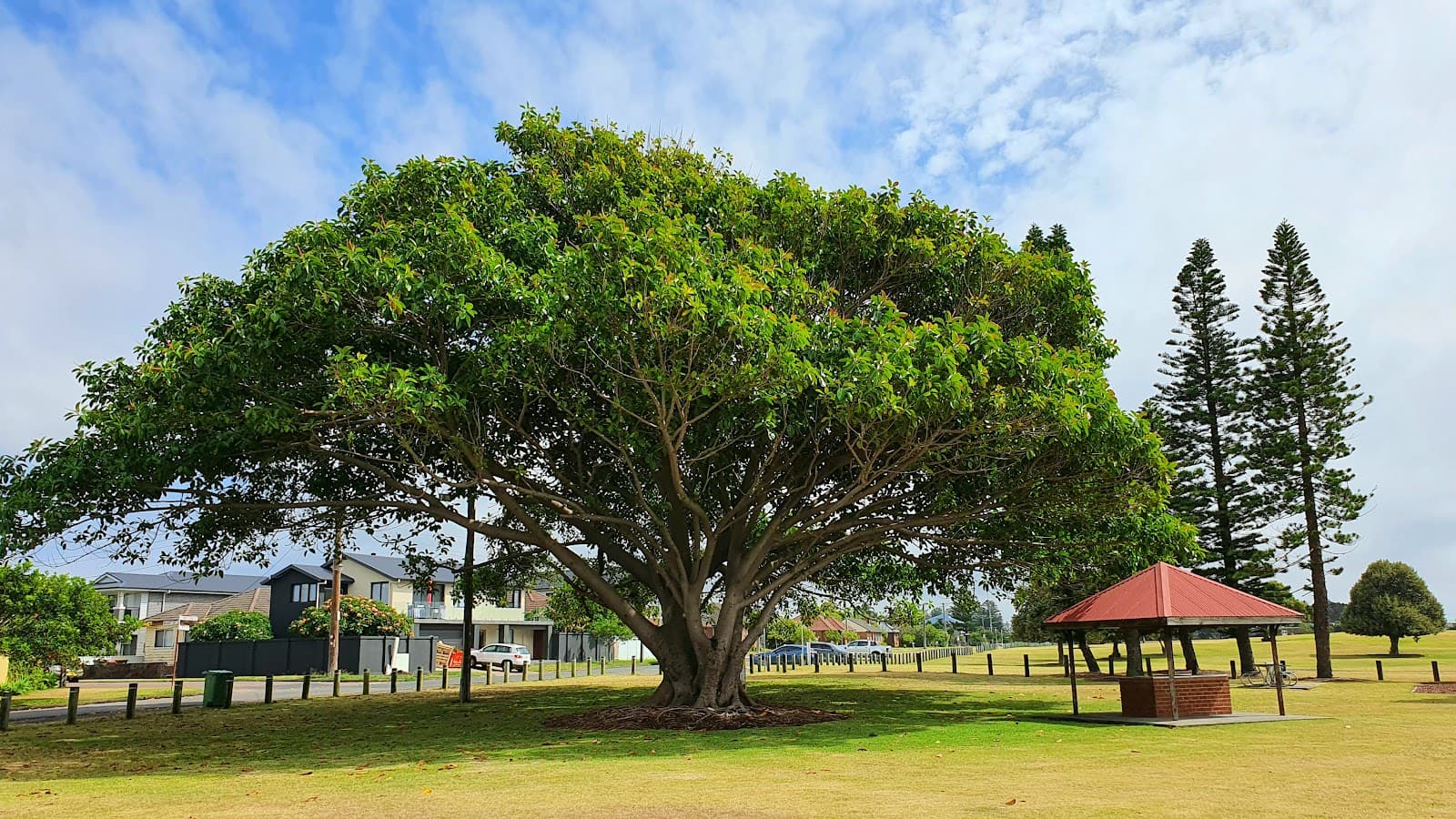 Pitt Street Reserve Playground — Stockton, Newcastle