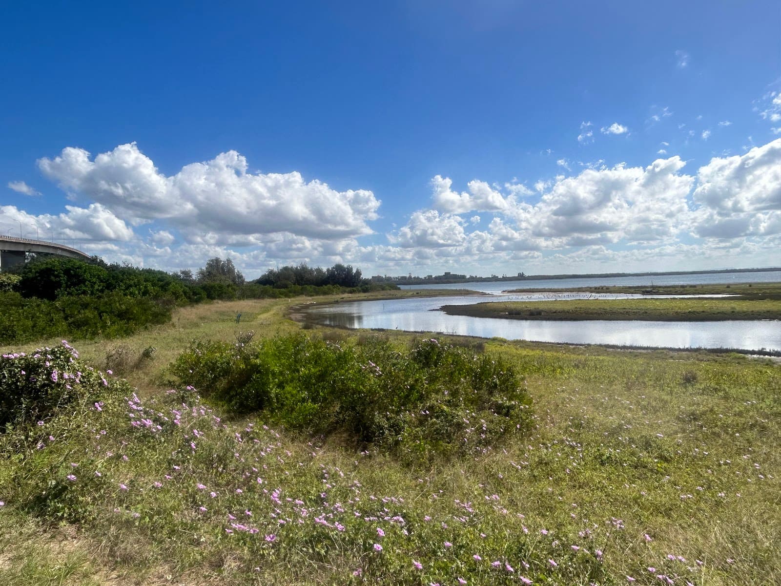 Stockton Sandspit - Hunter Wetlands National Park — Stockton, Newcastle