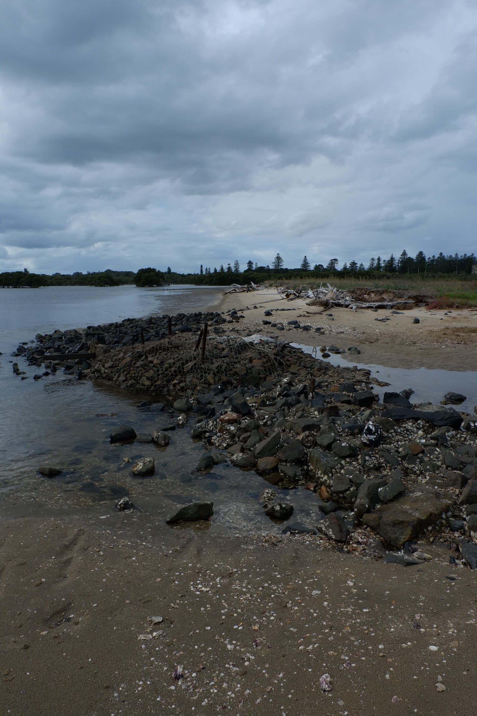Stockton Sandspit - Hunter Wetlands National Park — Stockton, Newcastle