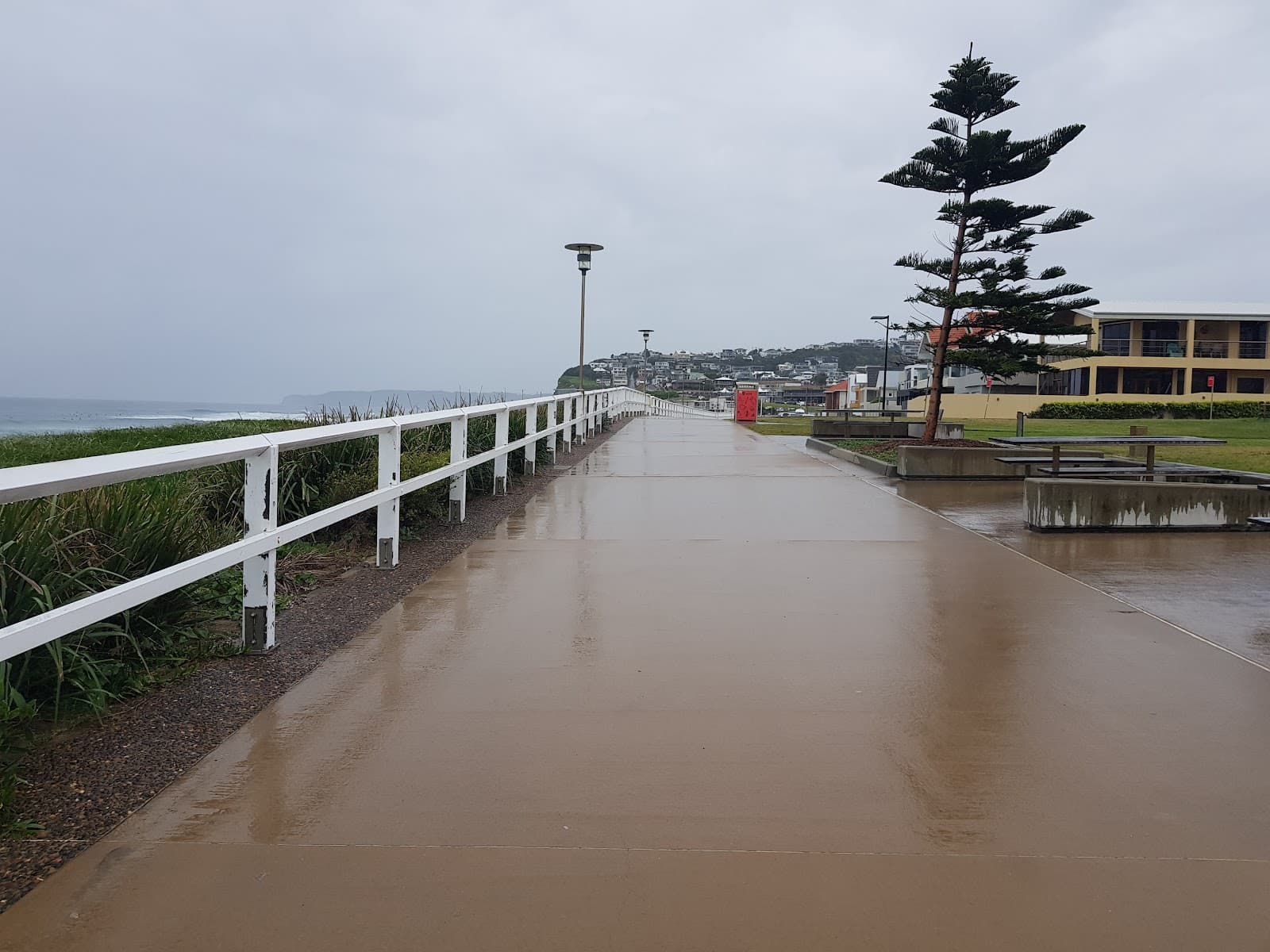 Merewether Dog Off-Leash Area — Merewether, Newcastle