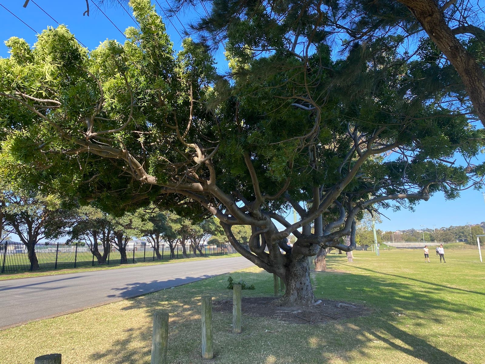 Myers Park — Pokolbin, Newcastle