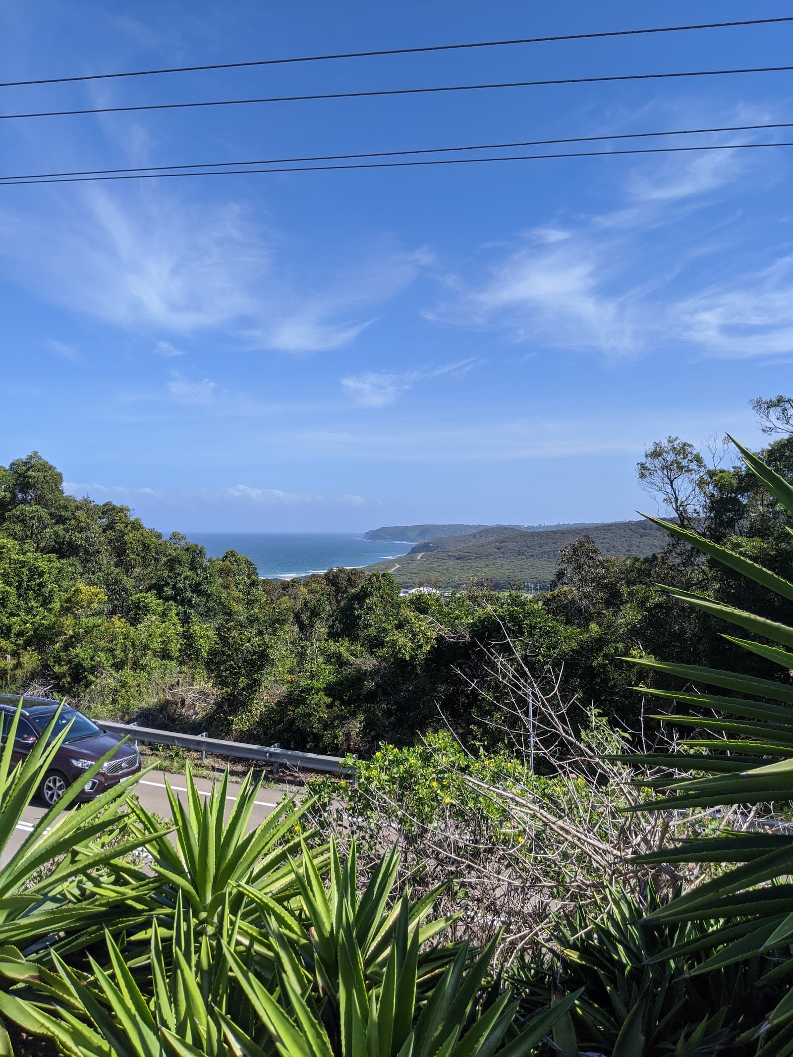 Myamblah Crescent Reserve — Merewether, Newcastle