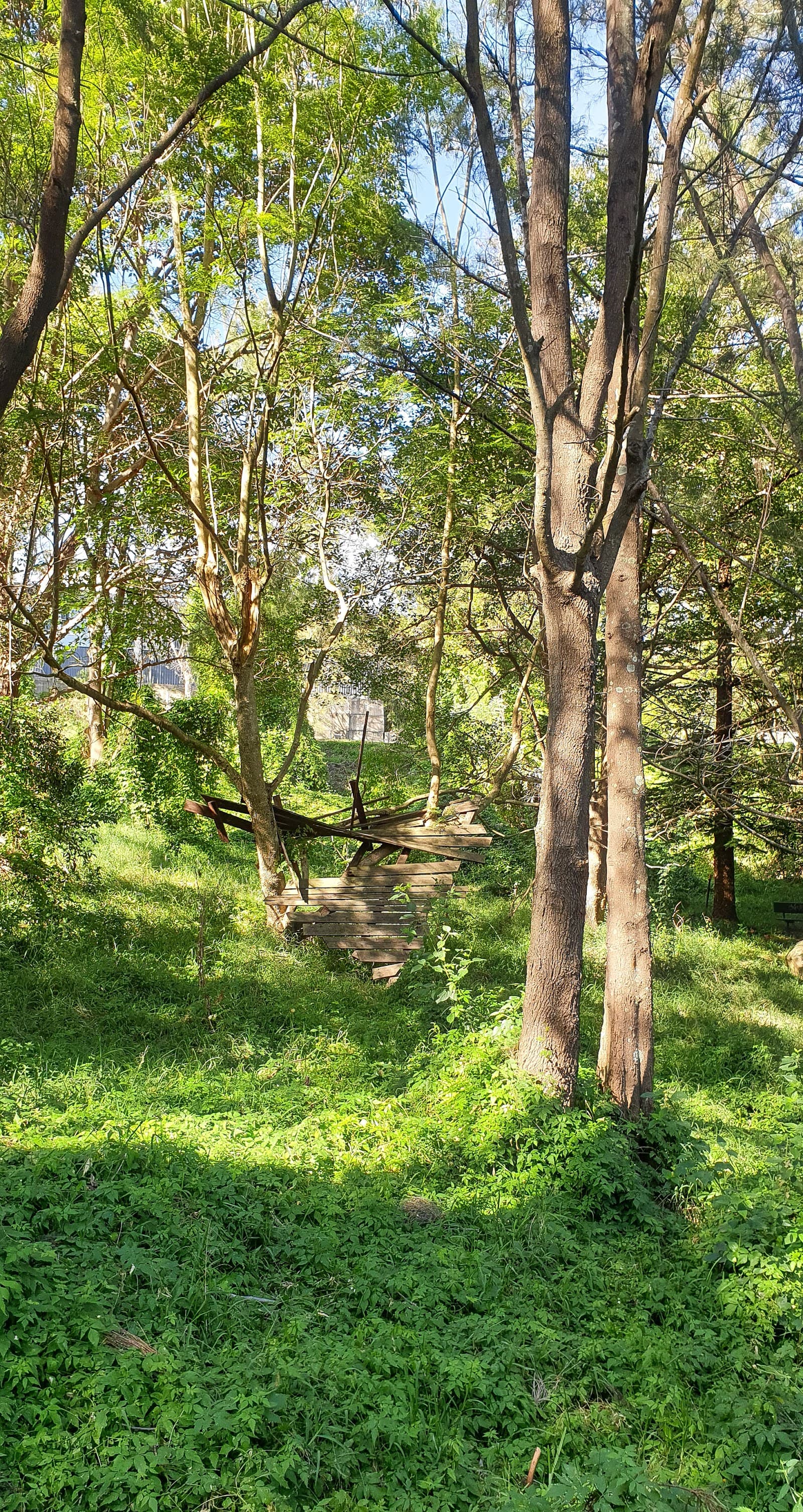 Myamblah Crescent Reserve — Merewether, Newcastle