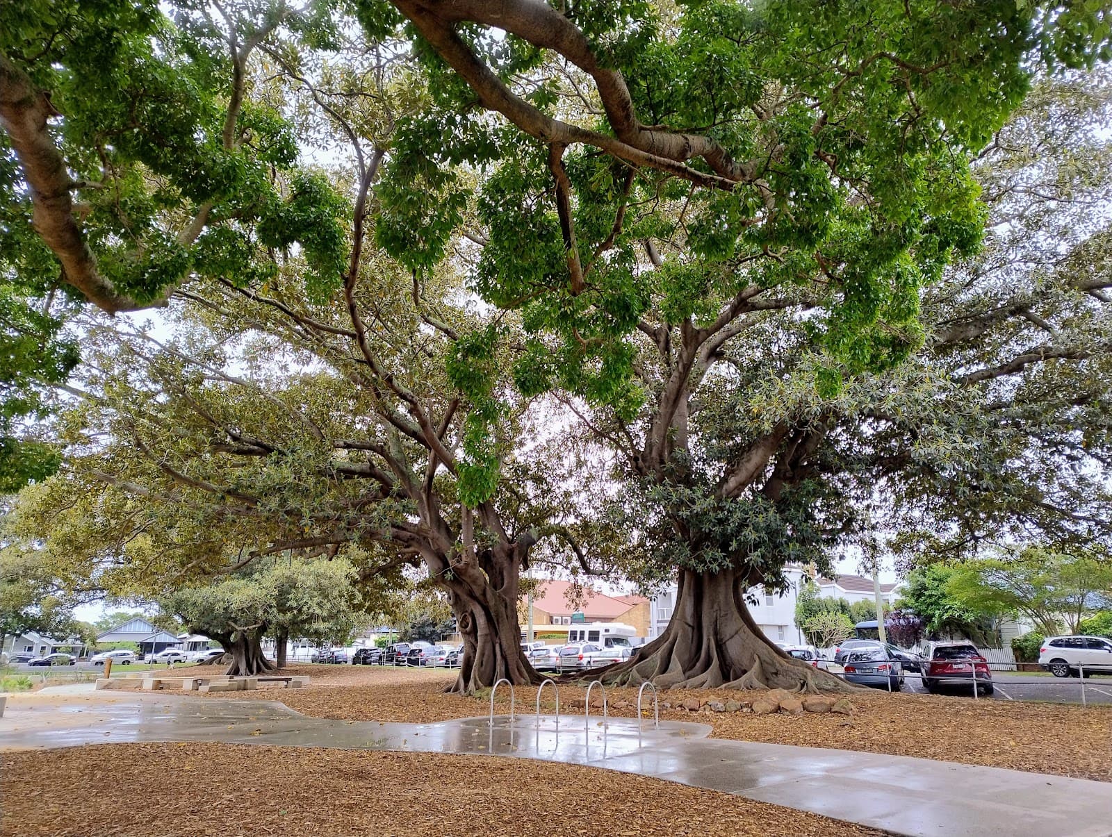 Gregson Park Playground — Hamilton, Newcastle