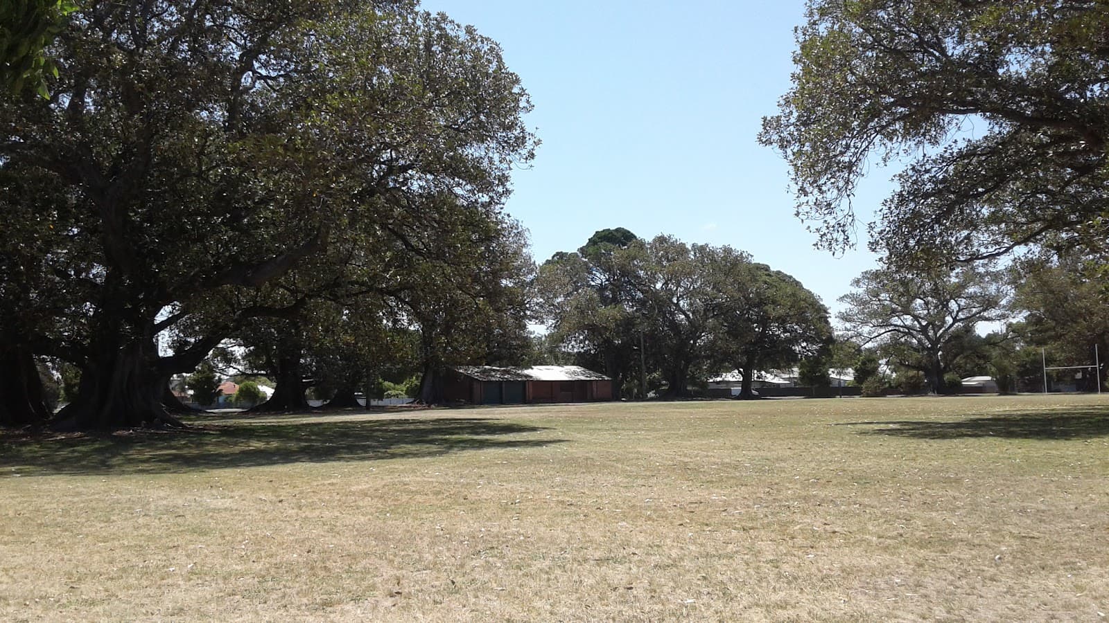Richardson Park — Hamilton North, Newcastle