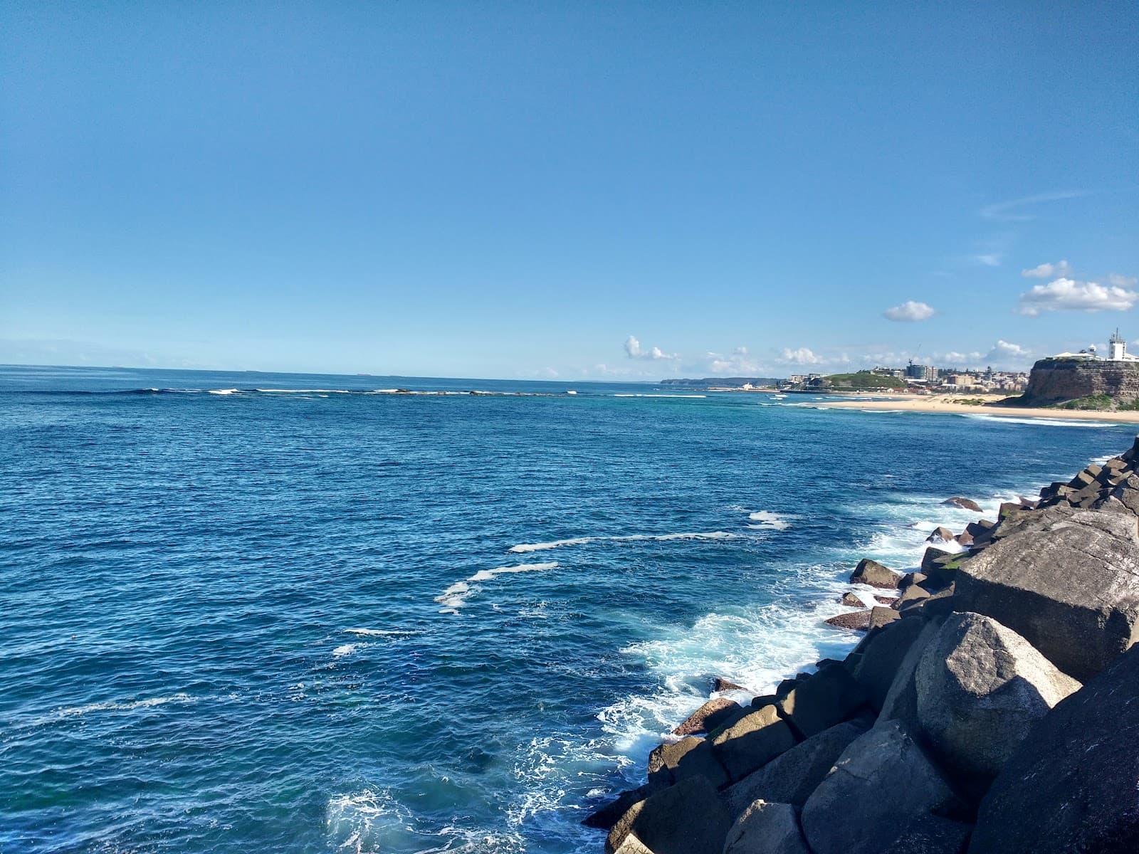 Henry Park — Hamilton South, Newcastle