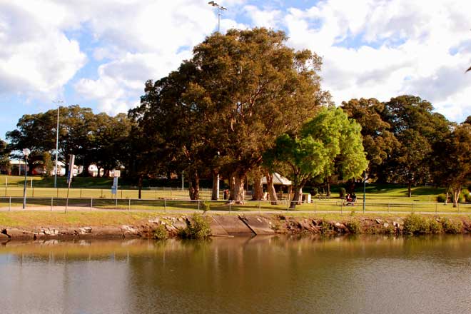 Islington Park — Islington, Newcastle