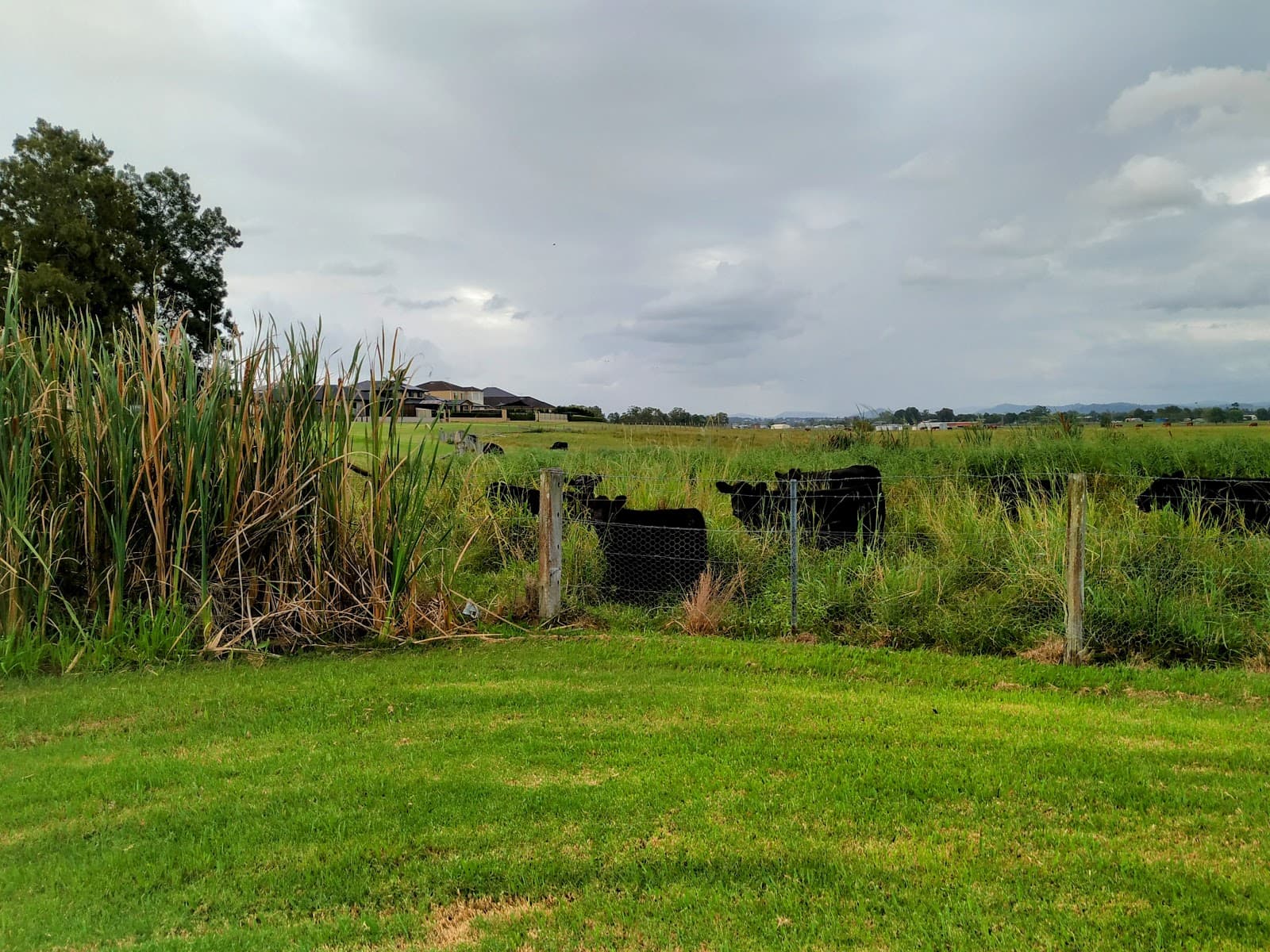 Rathluba Lagoon — Maitland, Newcastle