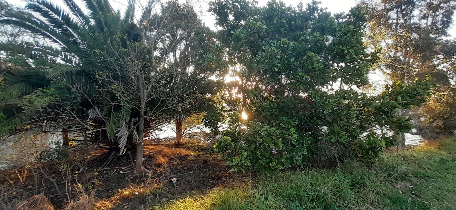 Rathluba Lagoon — Maitland, Newcastle