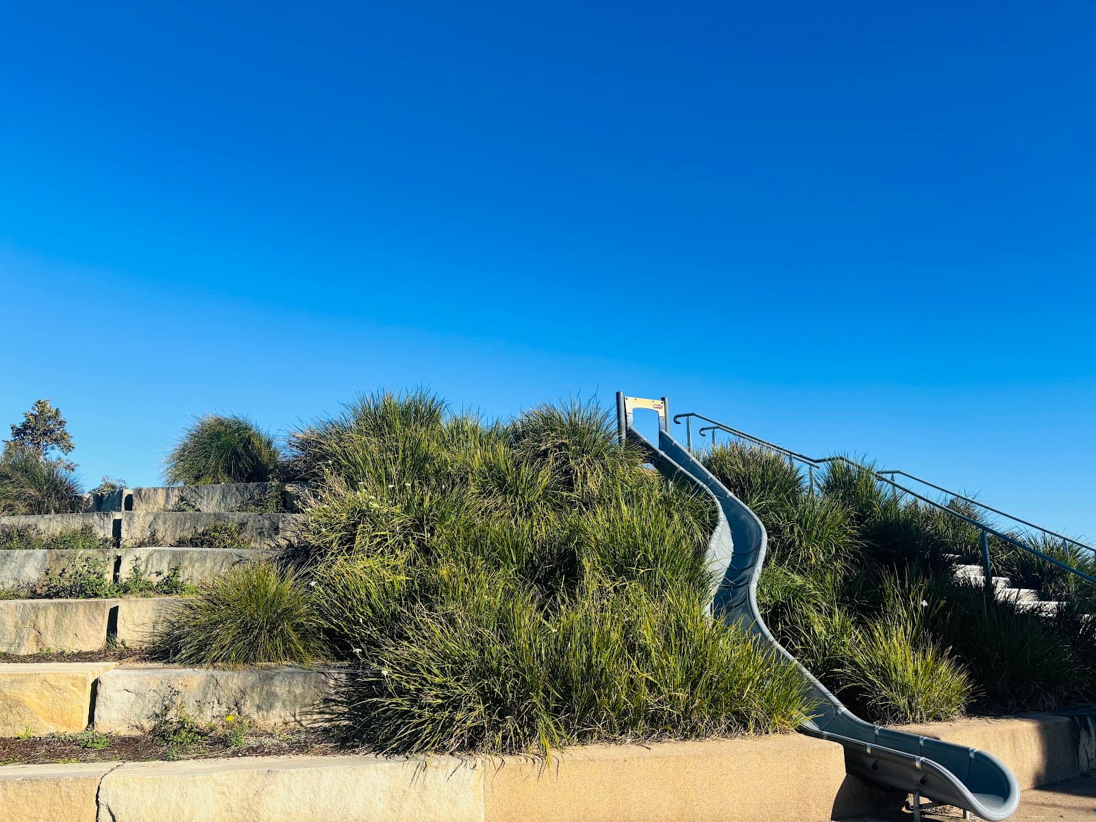 Wirraway Park — Maitland, Newcastle