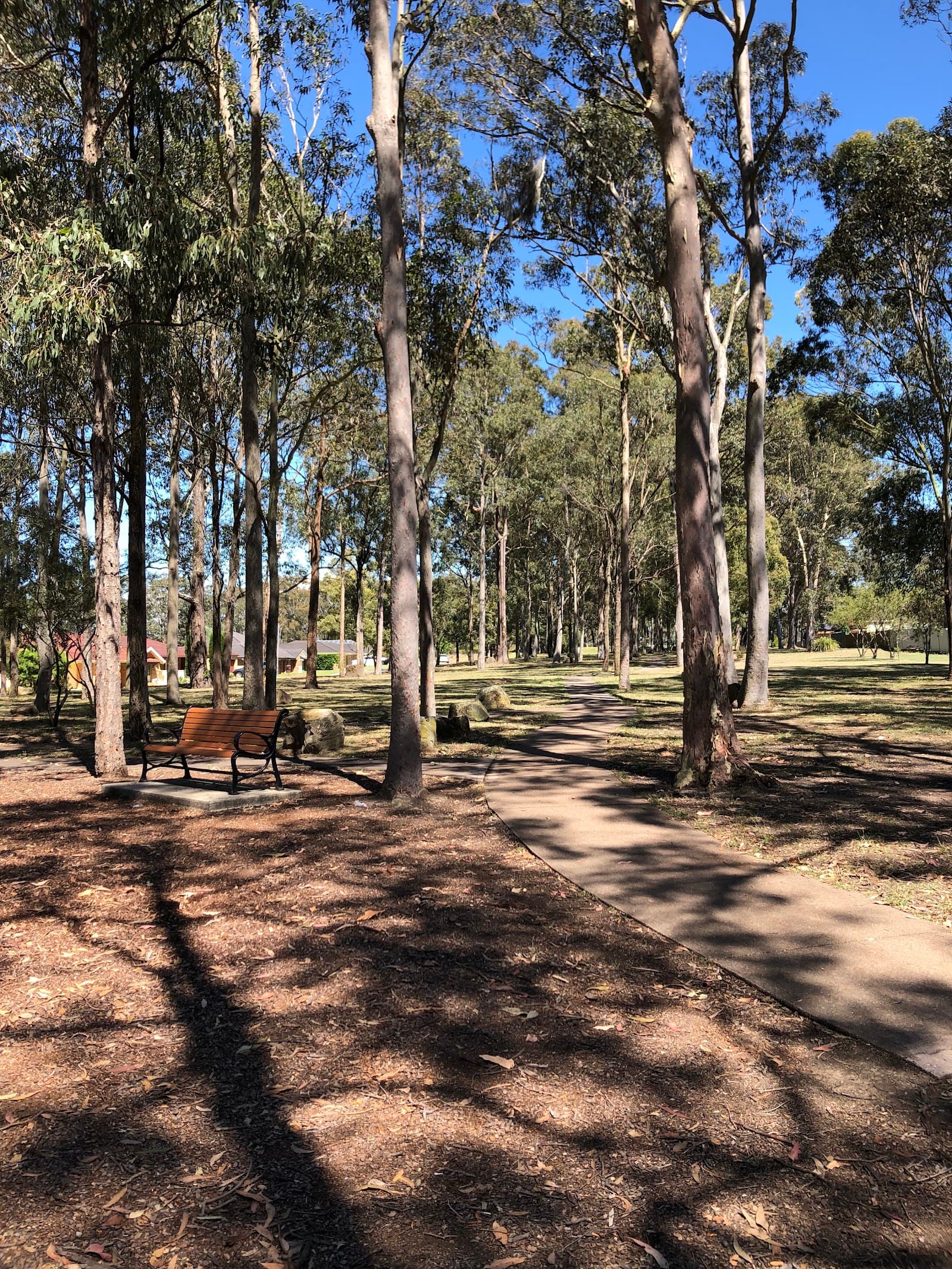 East Maitland Playground — Maitland, Newcastle