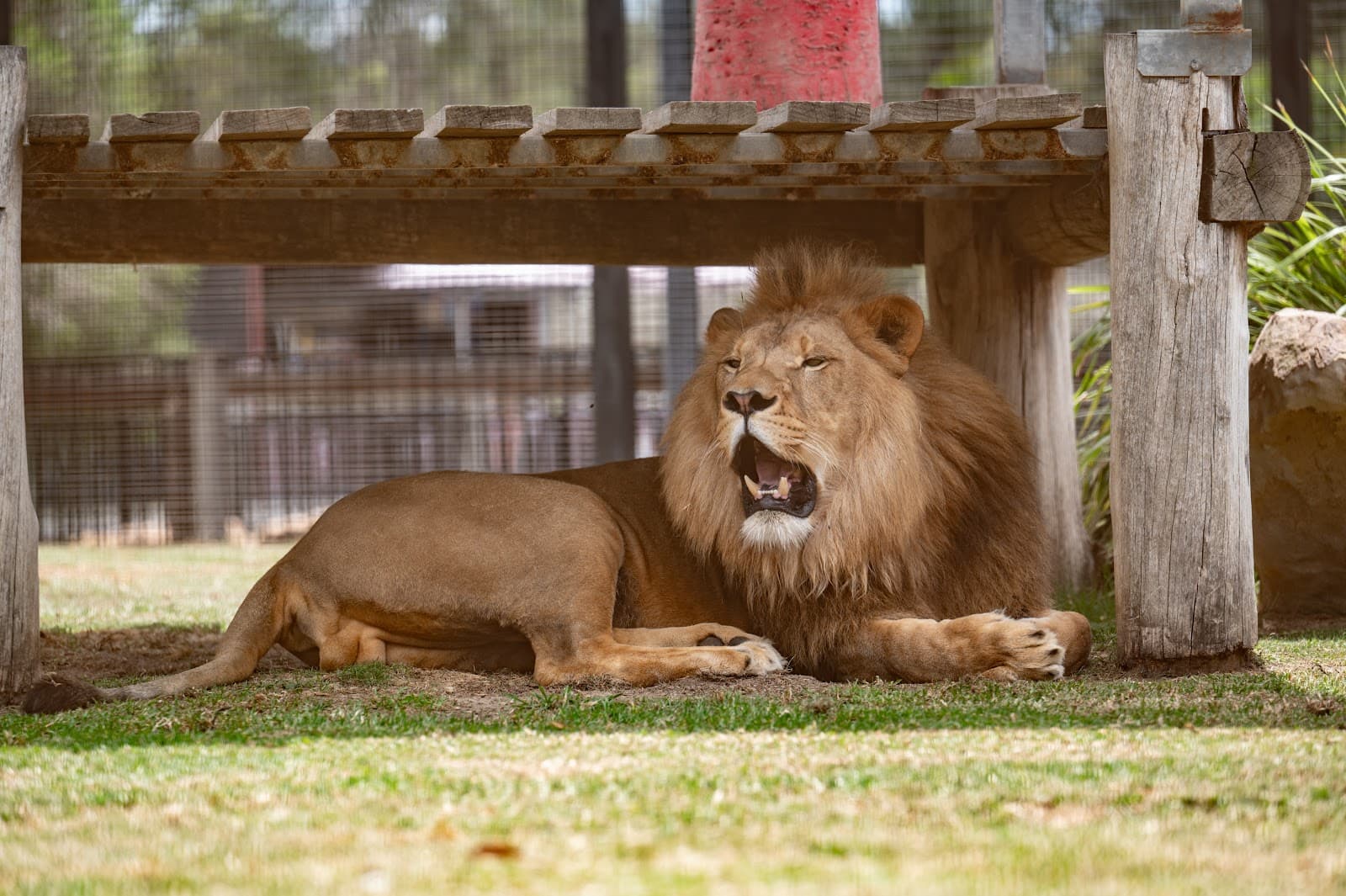 Hunter Valley Wildlife Park — Pokolbin, Newcastle