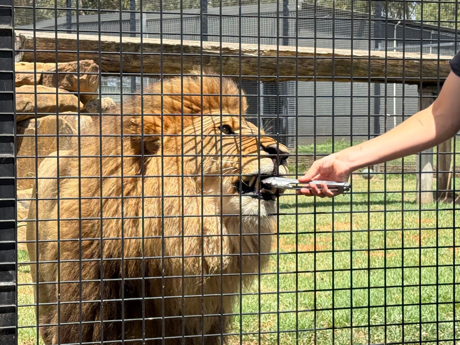 Hunter Valley Wildlife Park — Pokolbin, Newcastle