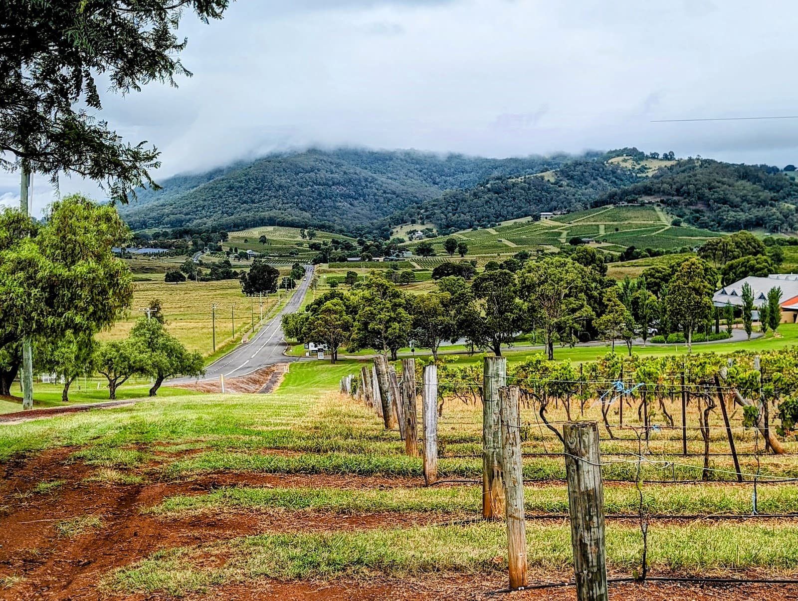 Pokolbin Park — Pokolbin, Newcastle